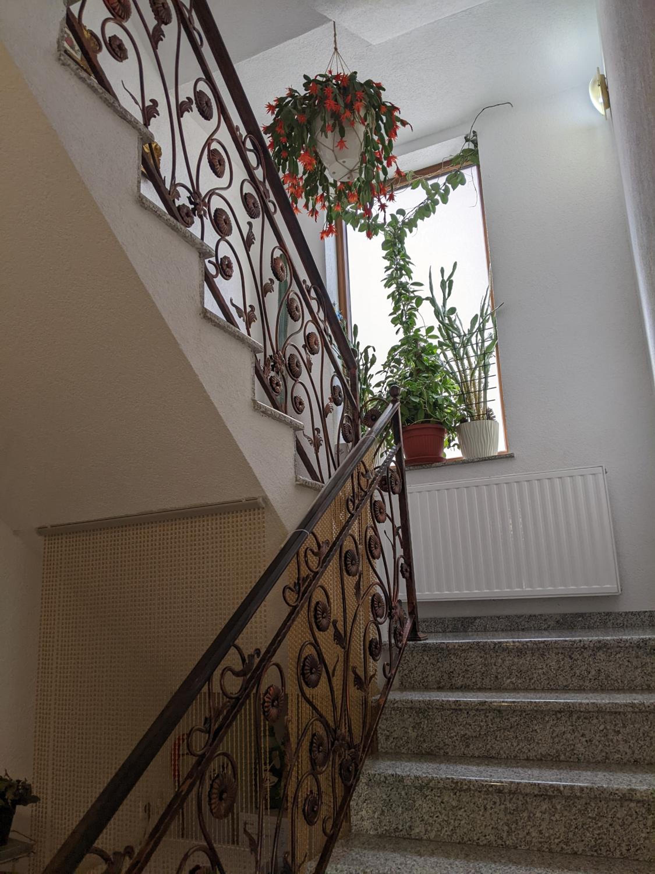 Apartmani Hrastik 2