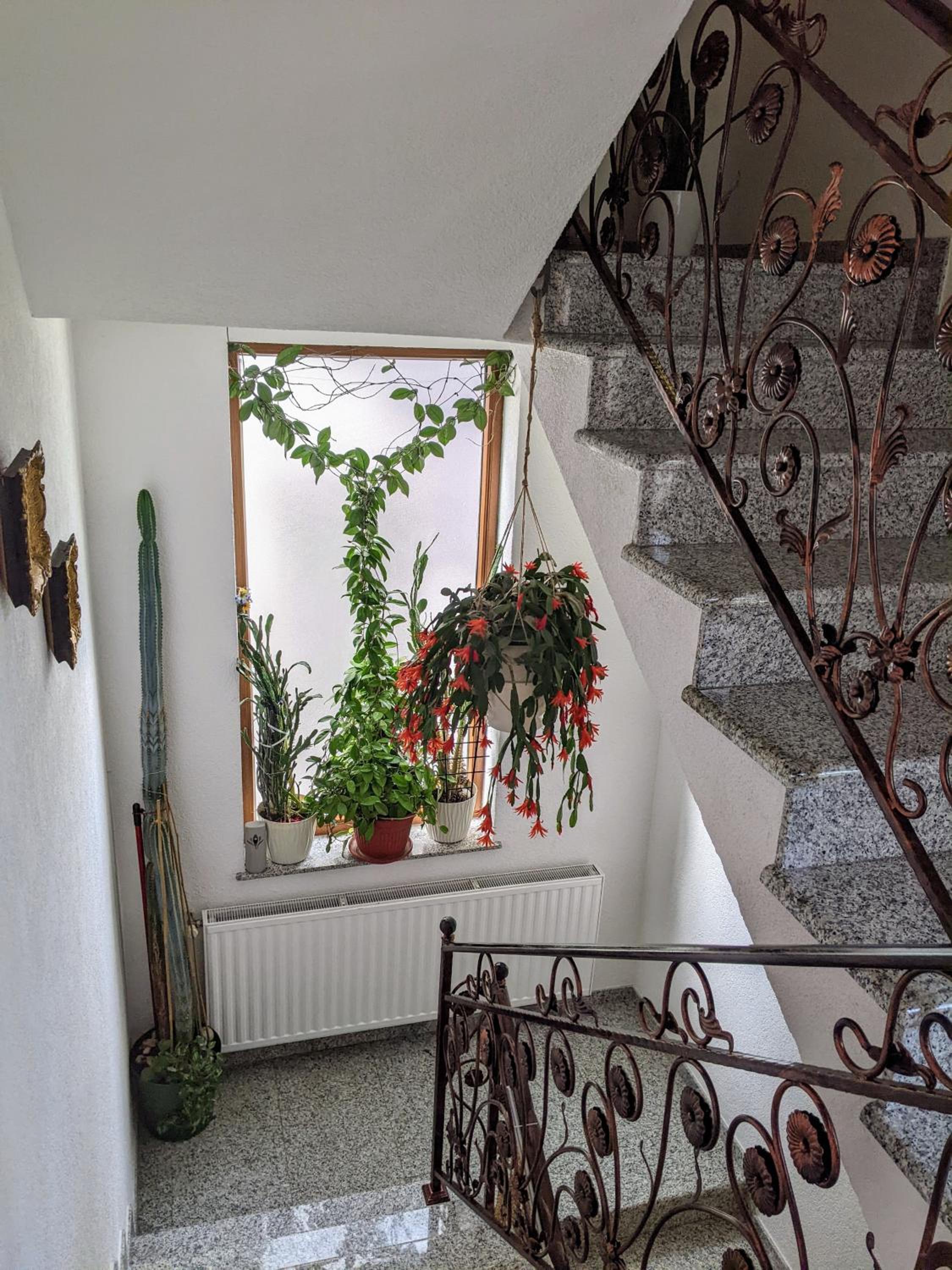 Apartmani Hrastik 2