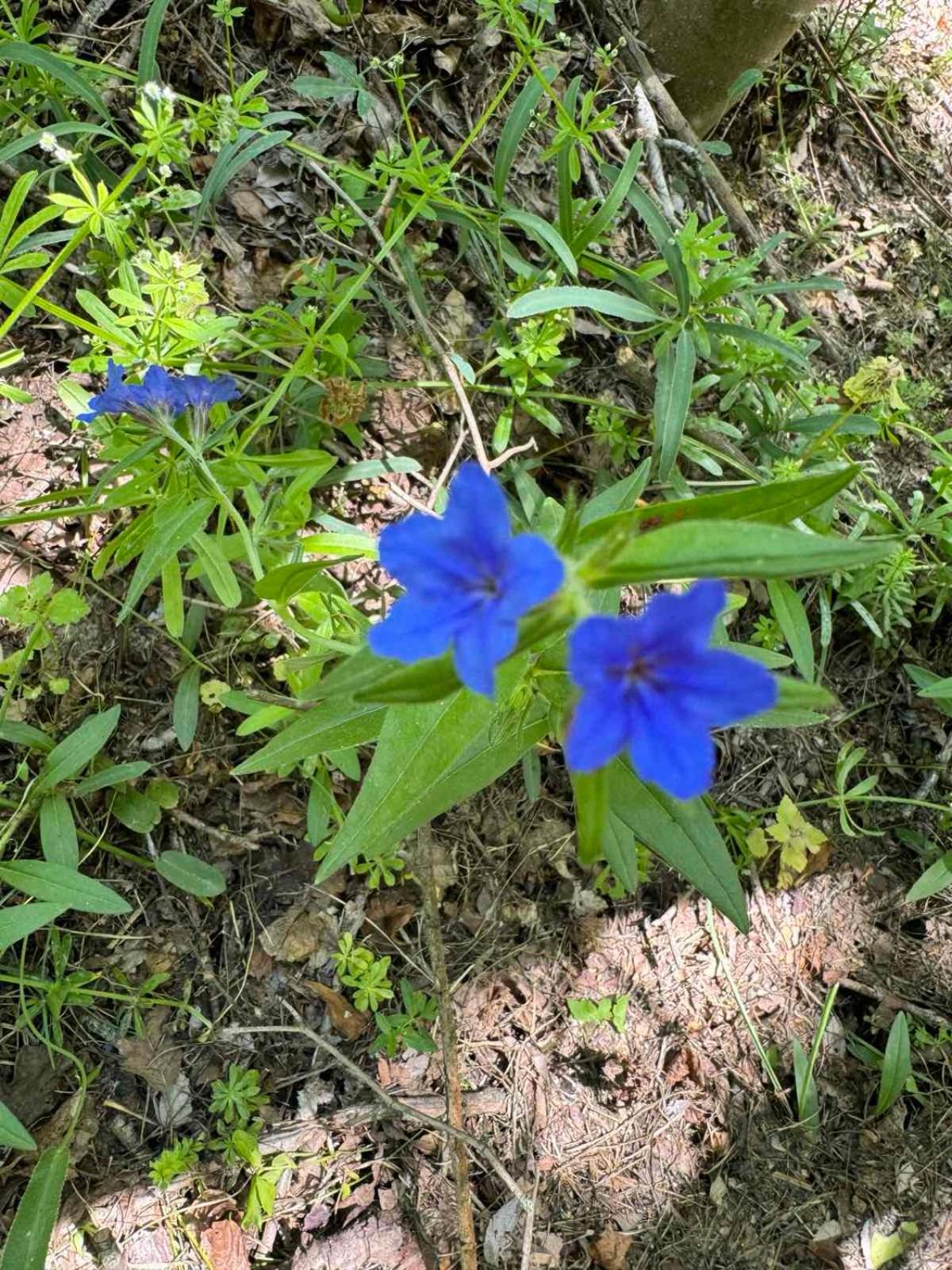 Photo 19