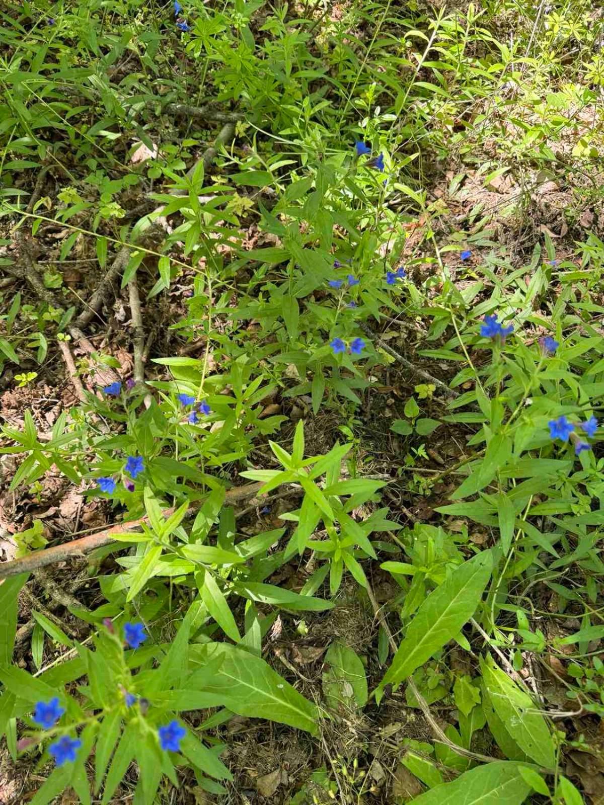 Photo 22