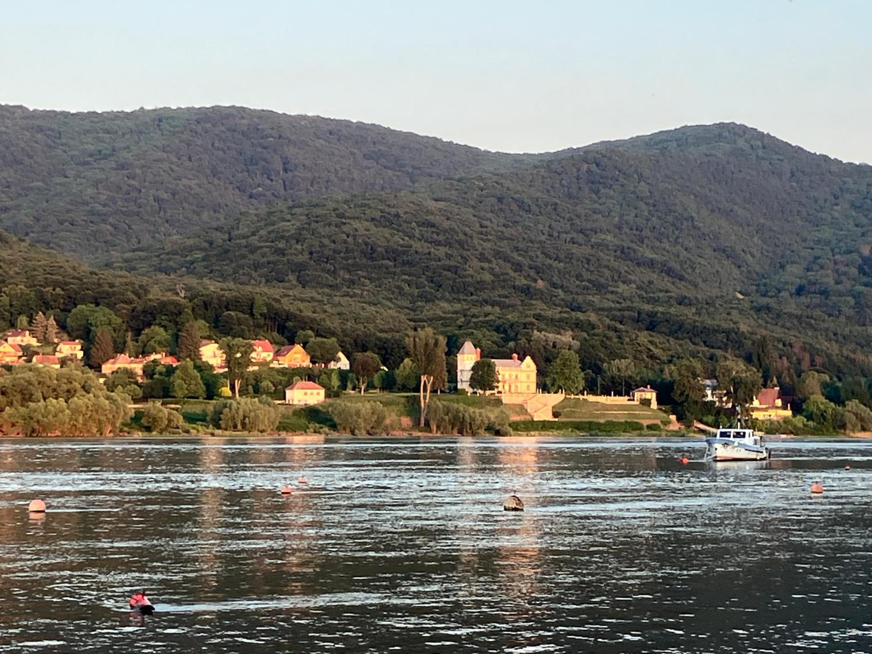 MemoriaMarci - Free Bikes, Danube Band & Pilis view 4