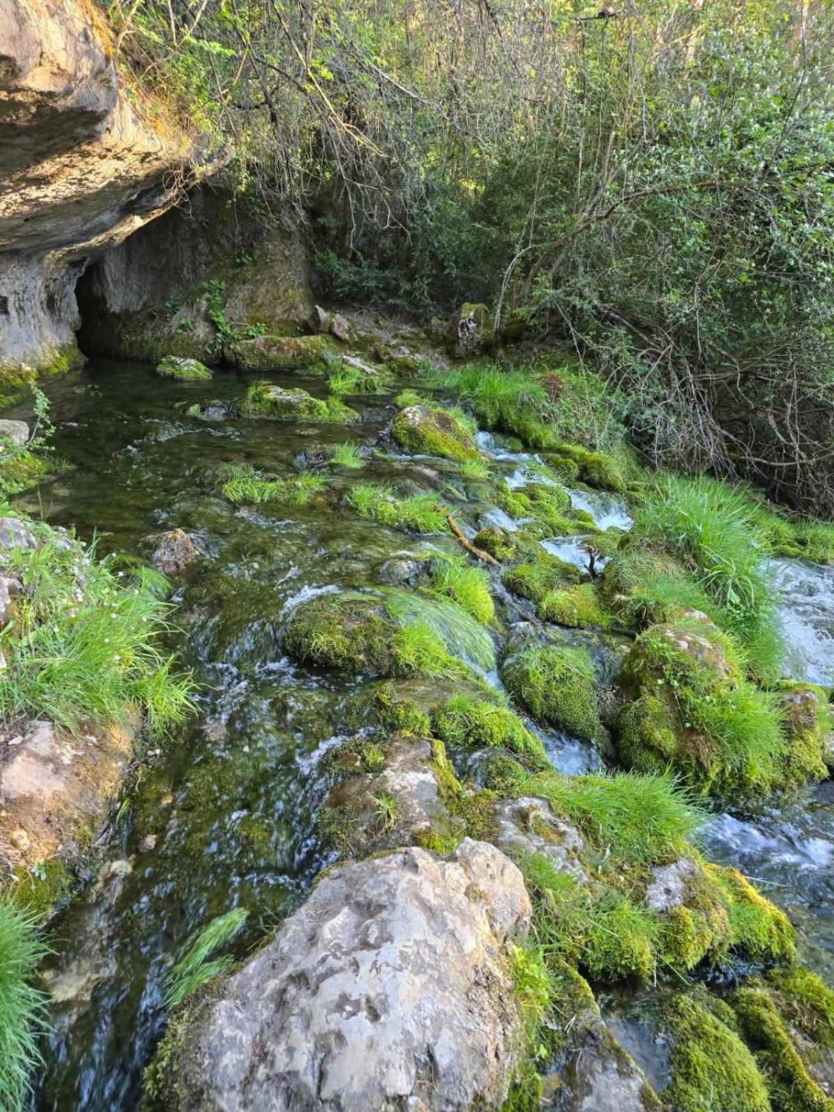 HOSTAL RURAL ALTO TAJO POVEDA
