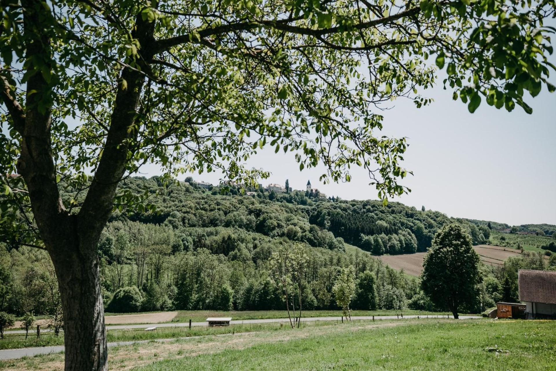 Kellerstöckl am Weinberg