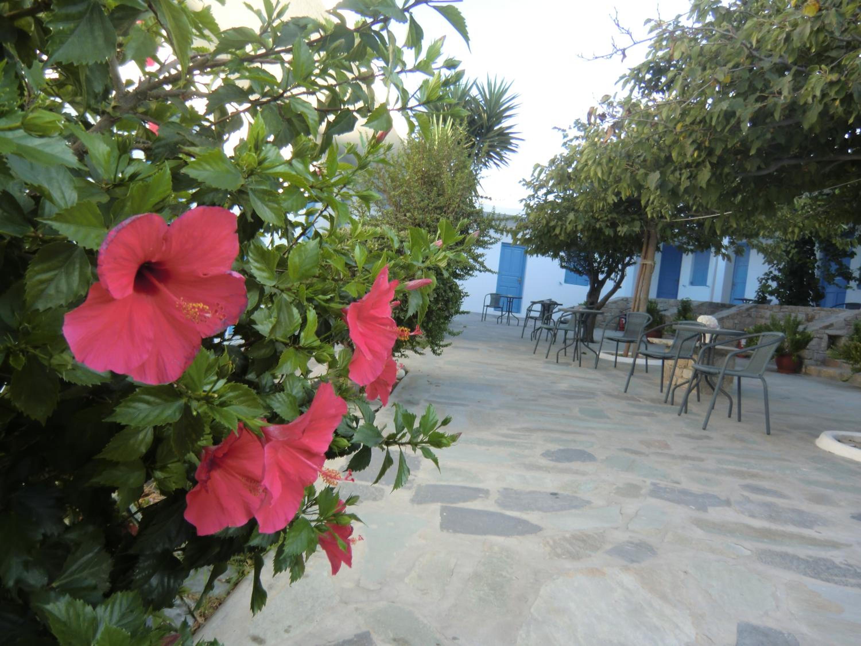 Photo 49