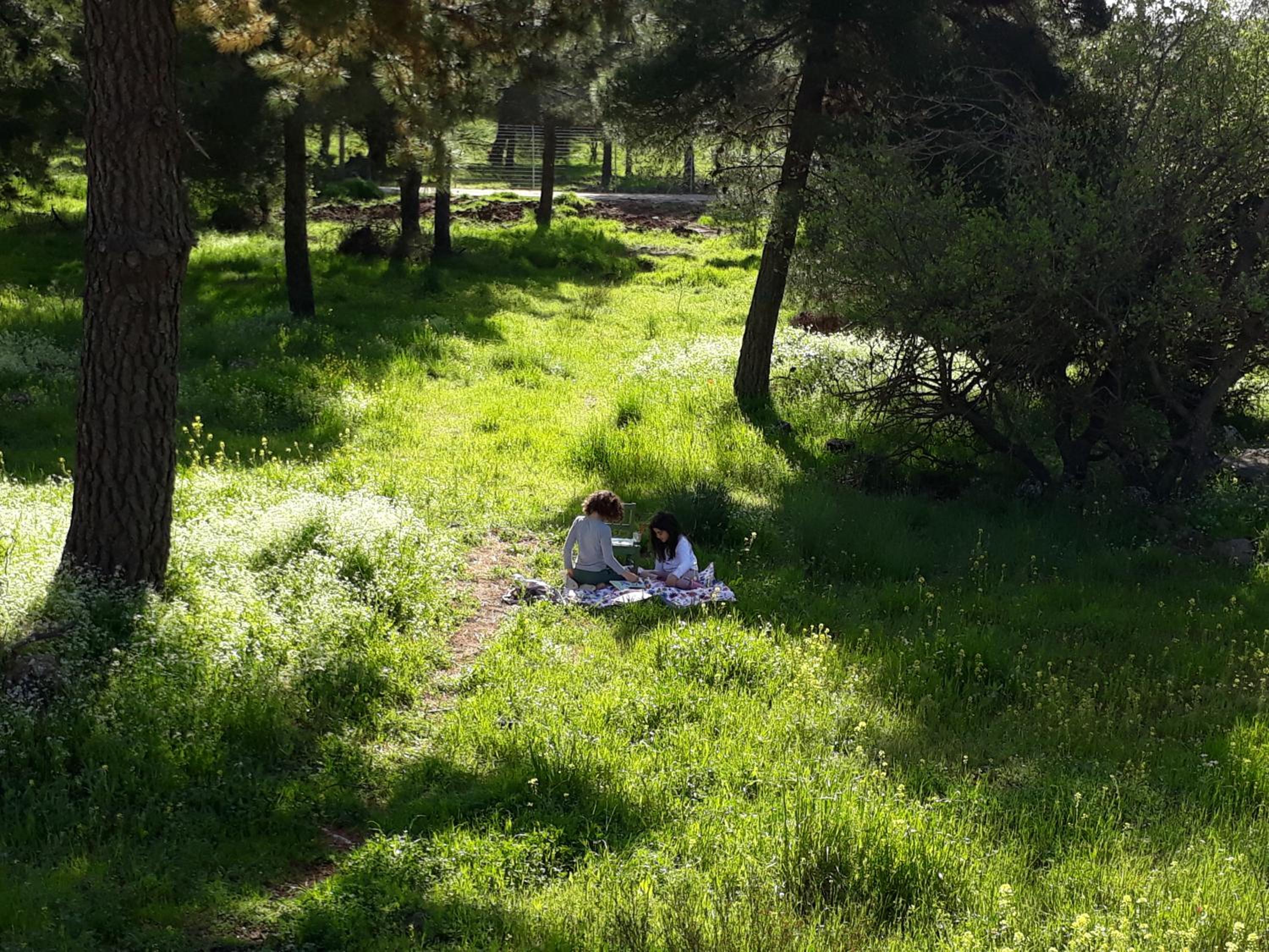 Photo 51