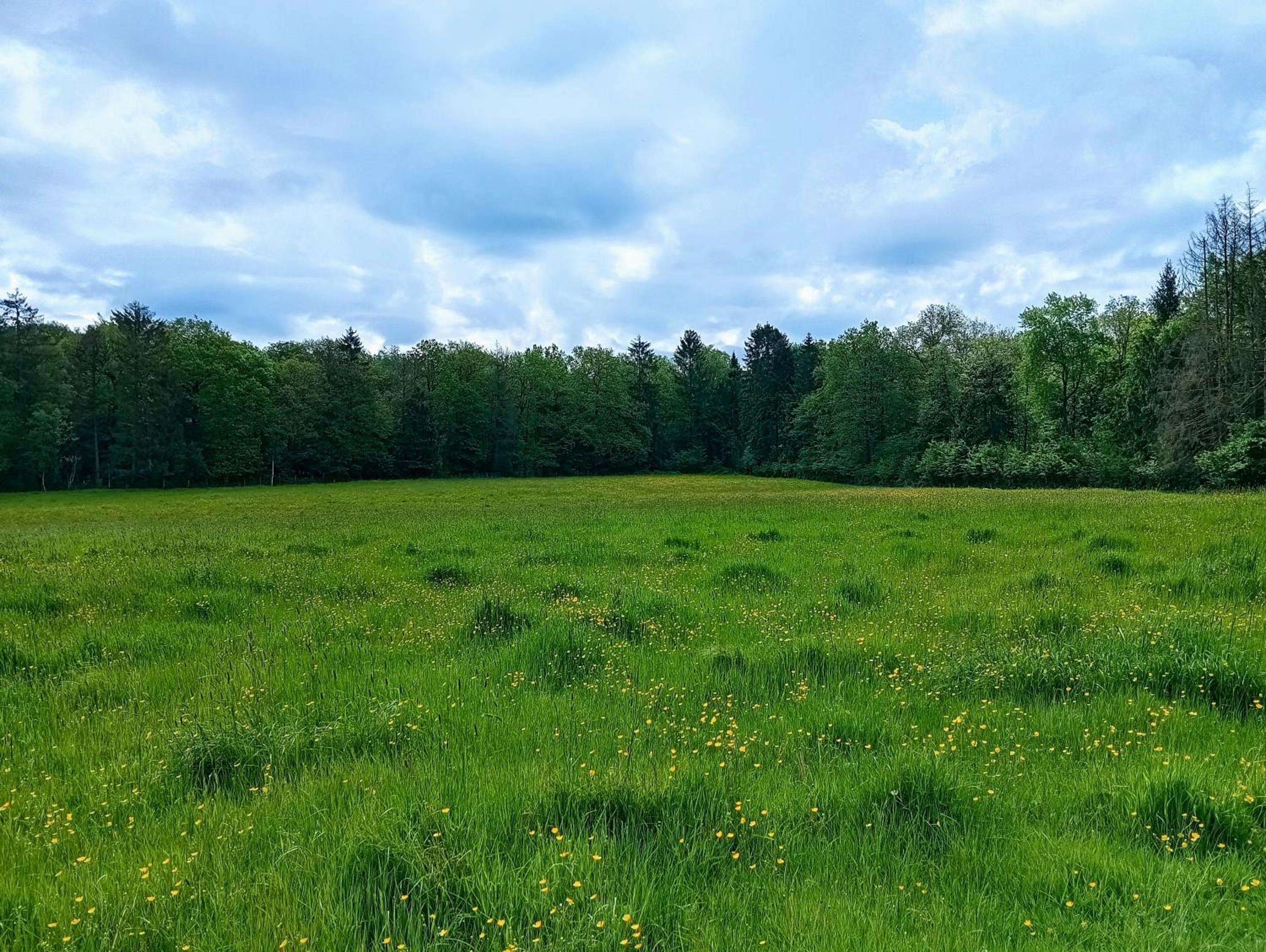 La Demoiselle ô Bois - Gîte nature et confort aux portes de Chimay