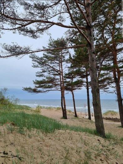 Apartamentai per 2 aukštus prie jūros Klaipėdoje view 4