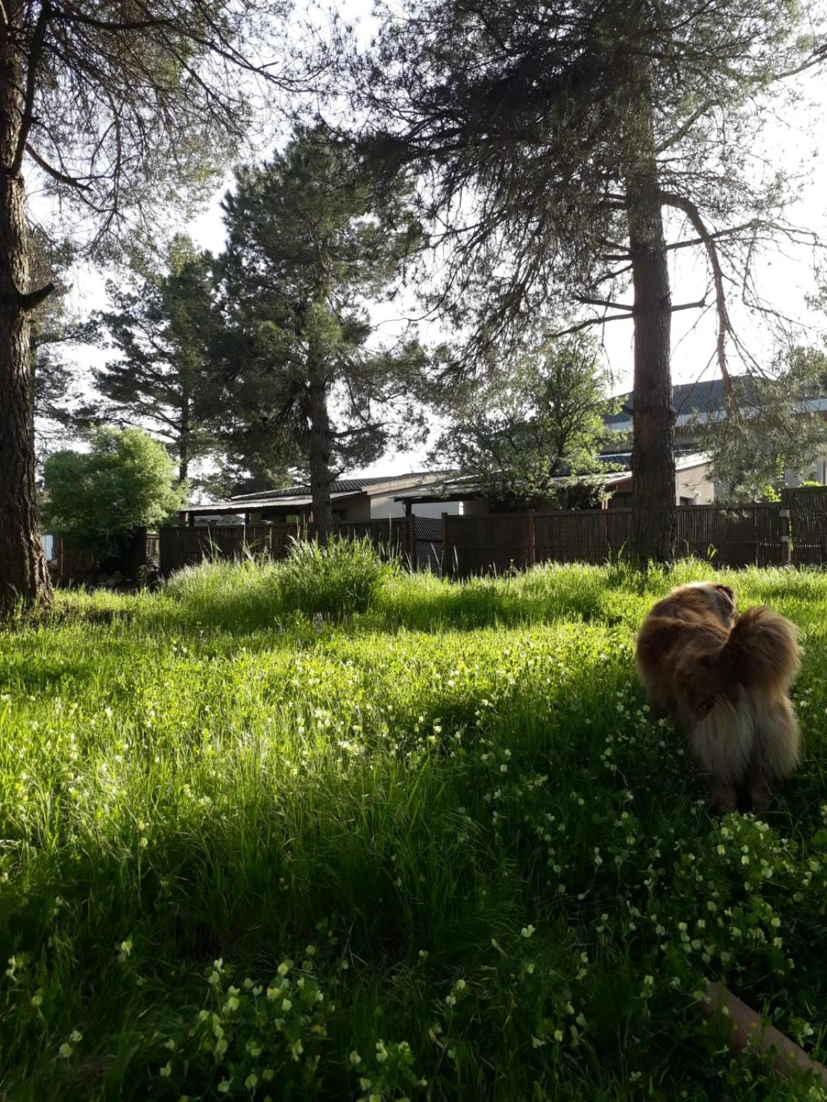 Photo 48
