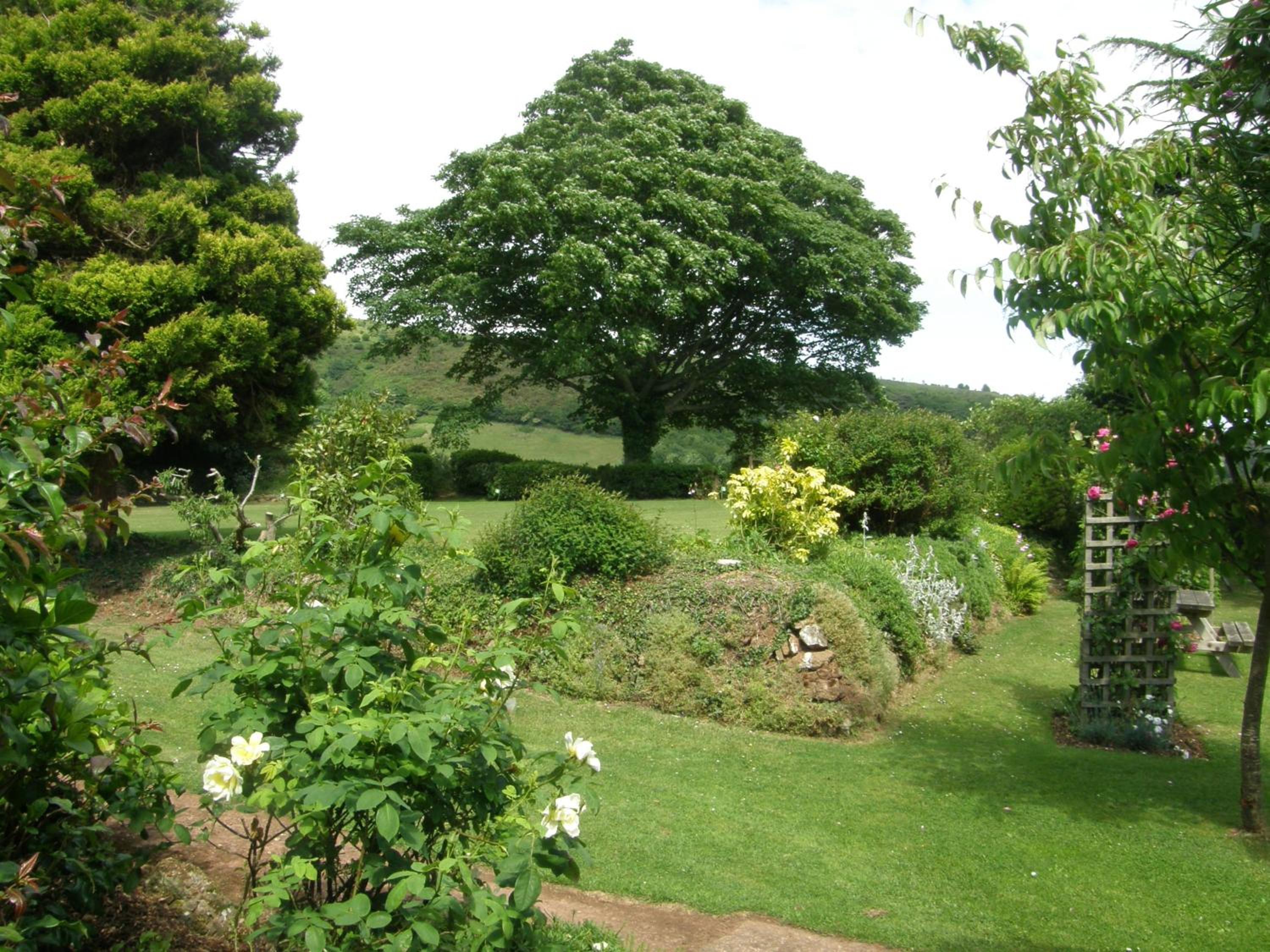 Photo 18