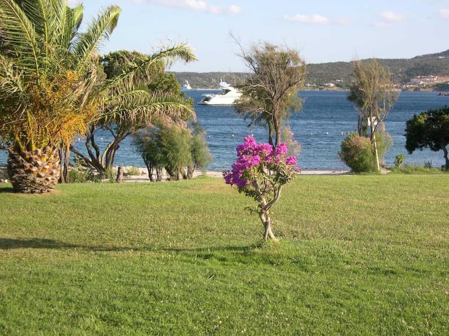 Appartamento con grande terrazza vista mare a Porto Cervo view 5