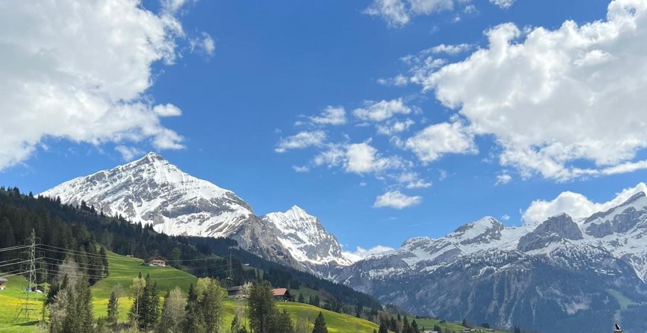 Beautiful Apartment With Stunning View - Chalet Mutthorn view 2