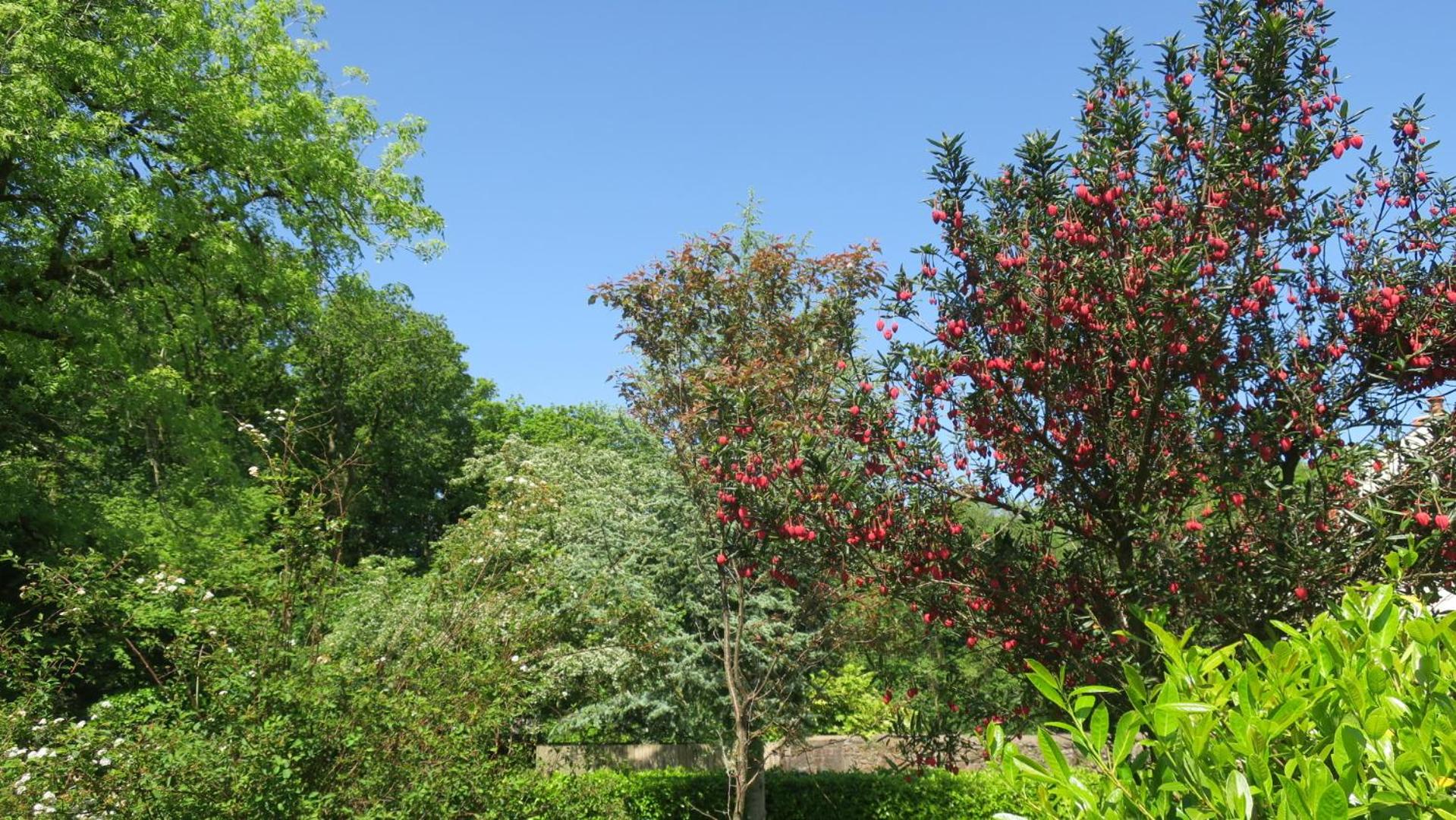 Photo 6