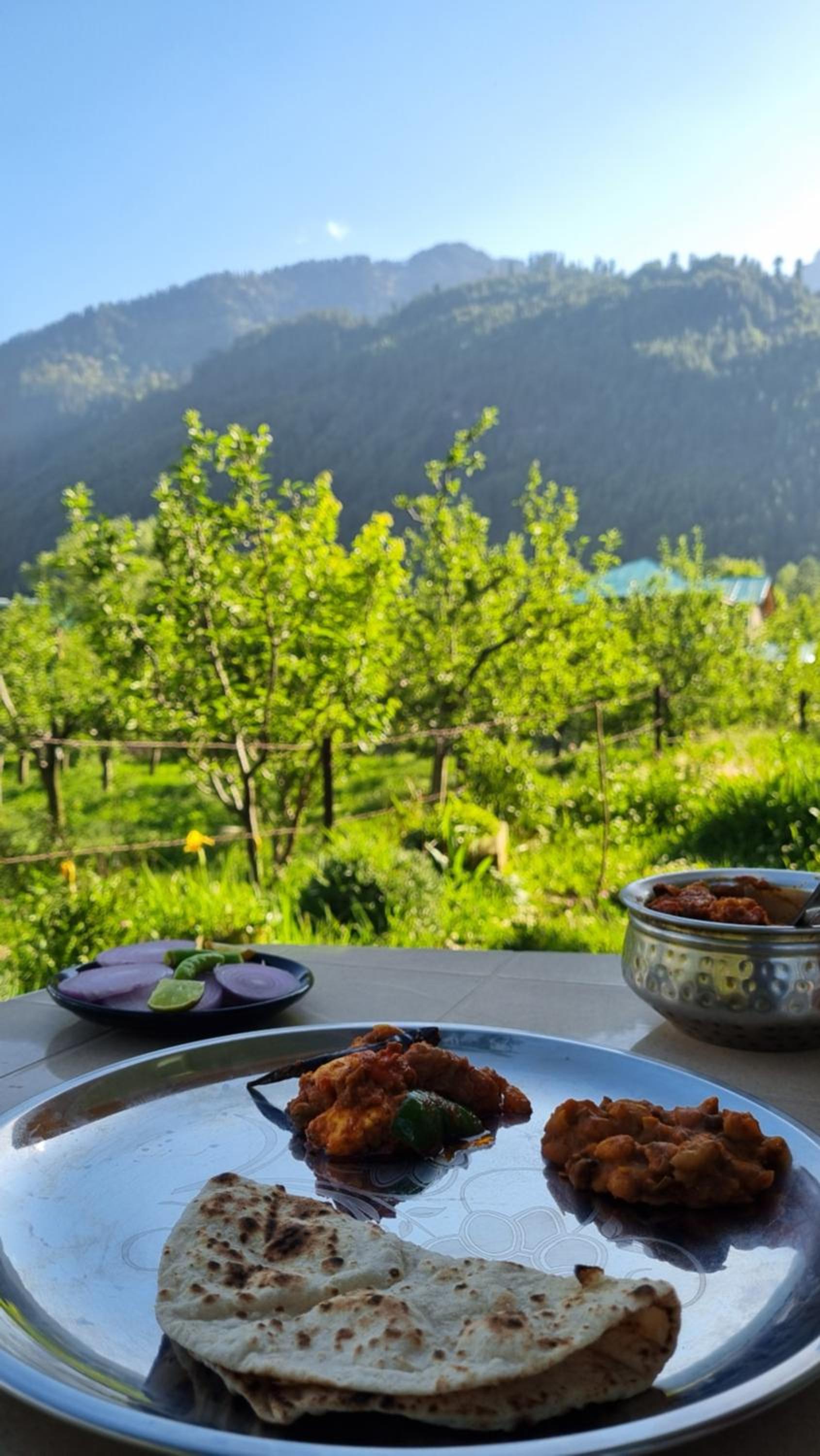 Cascade Mountain Retreat Manali