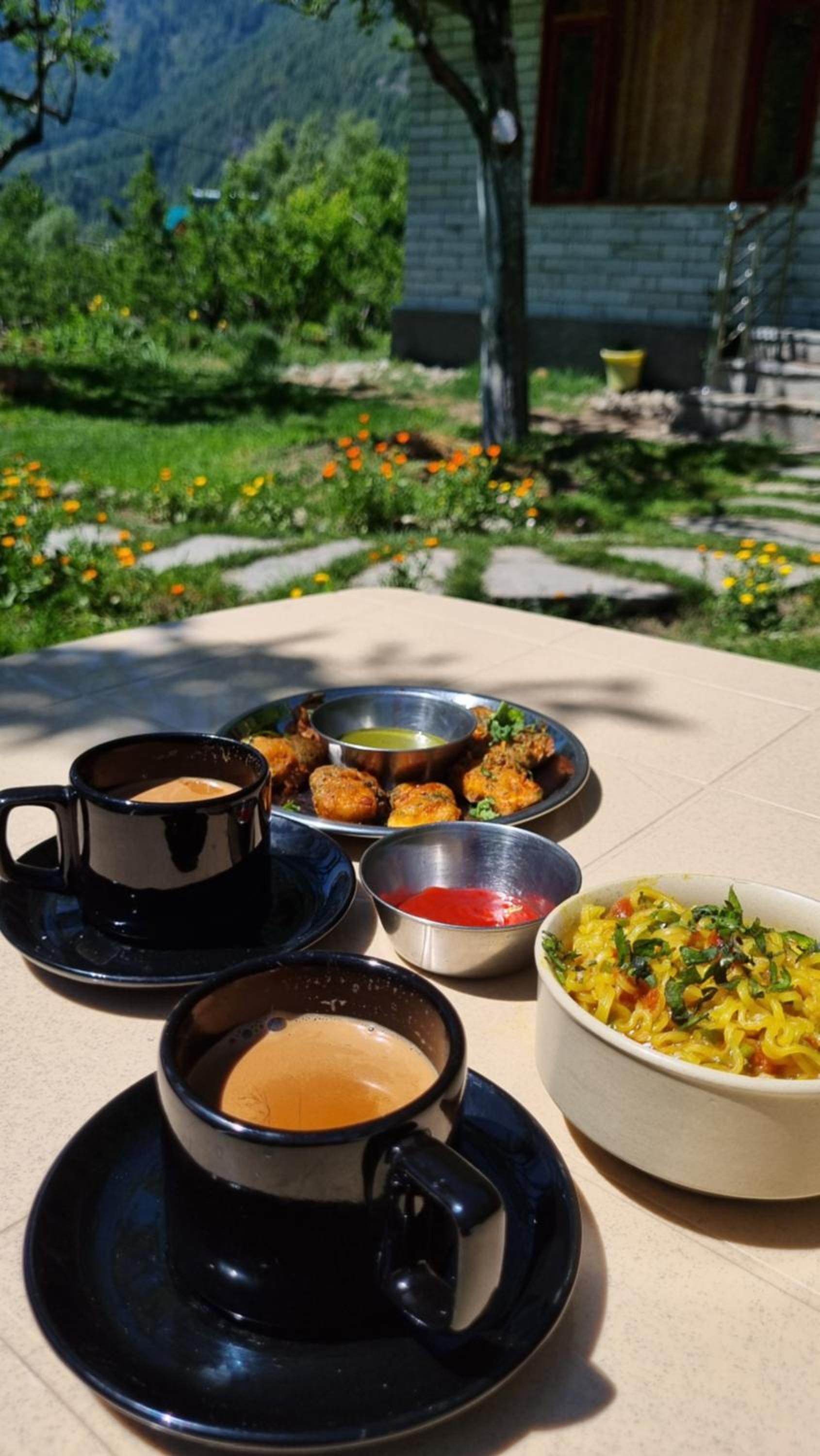 Cascade Mountain Retreat Manali