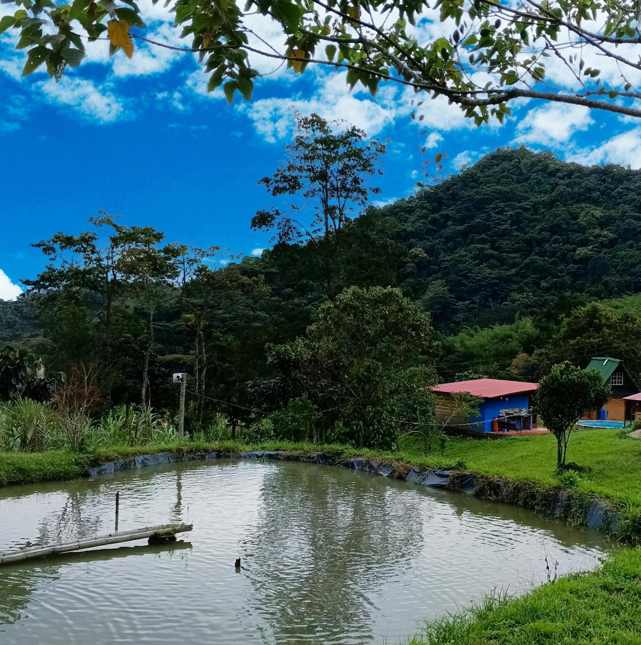 Glamping eco descanso la vega Nocaima