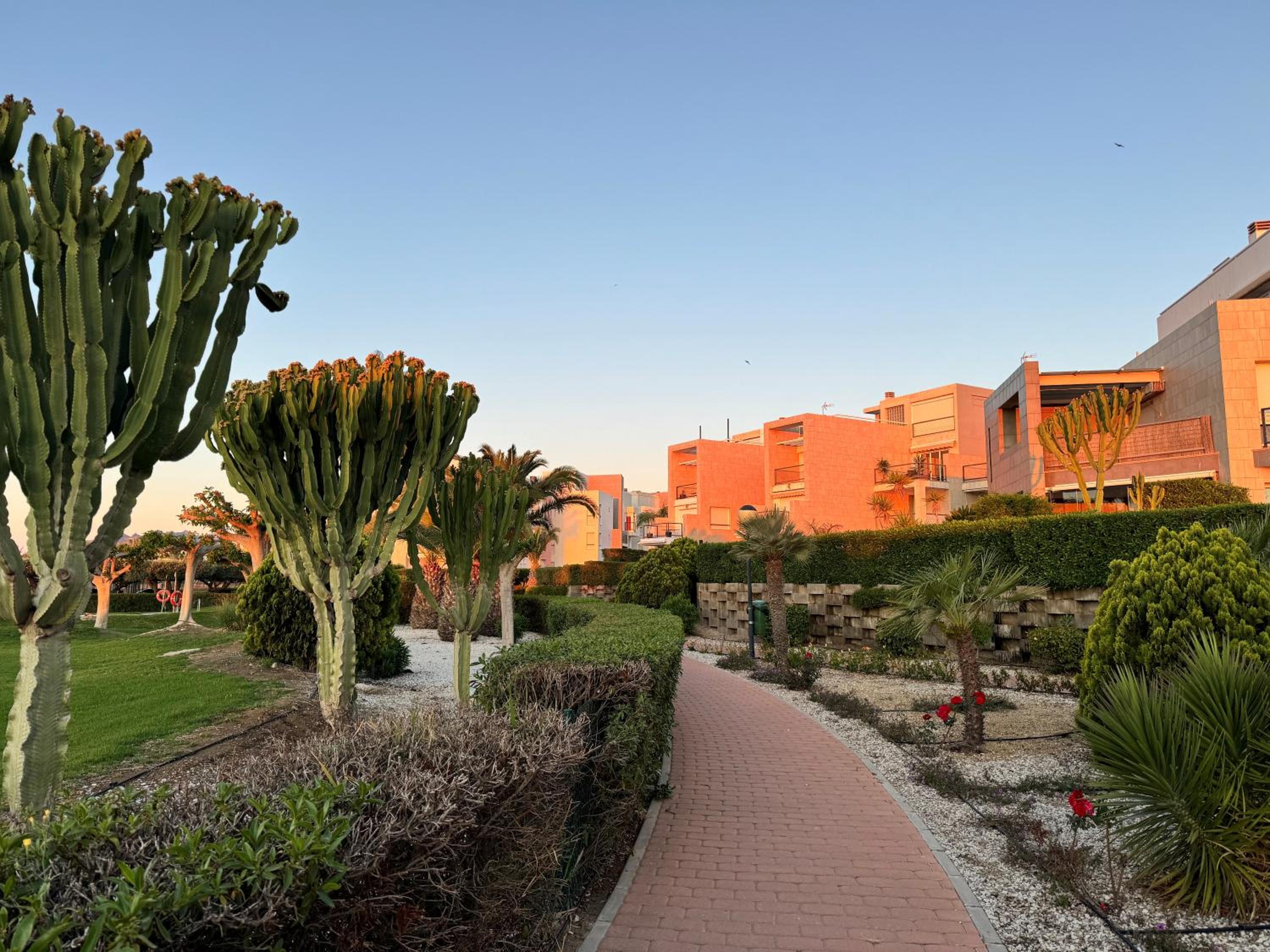 Apartamento Vera Playa