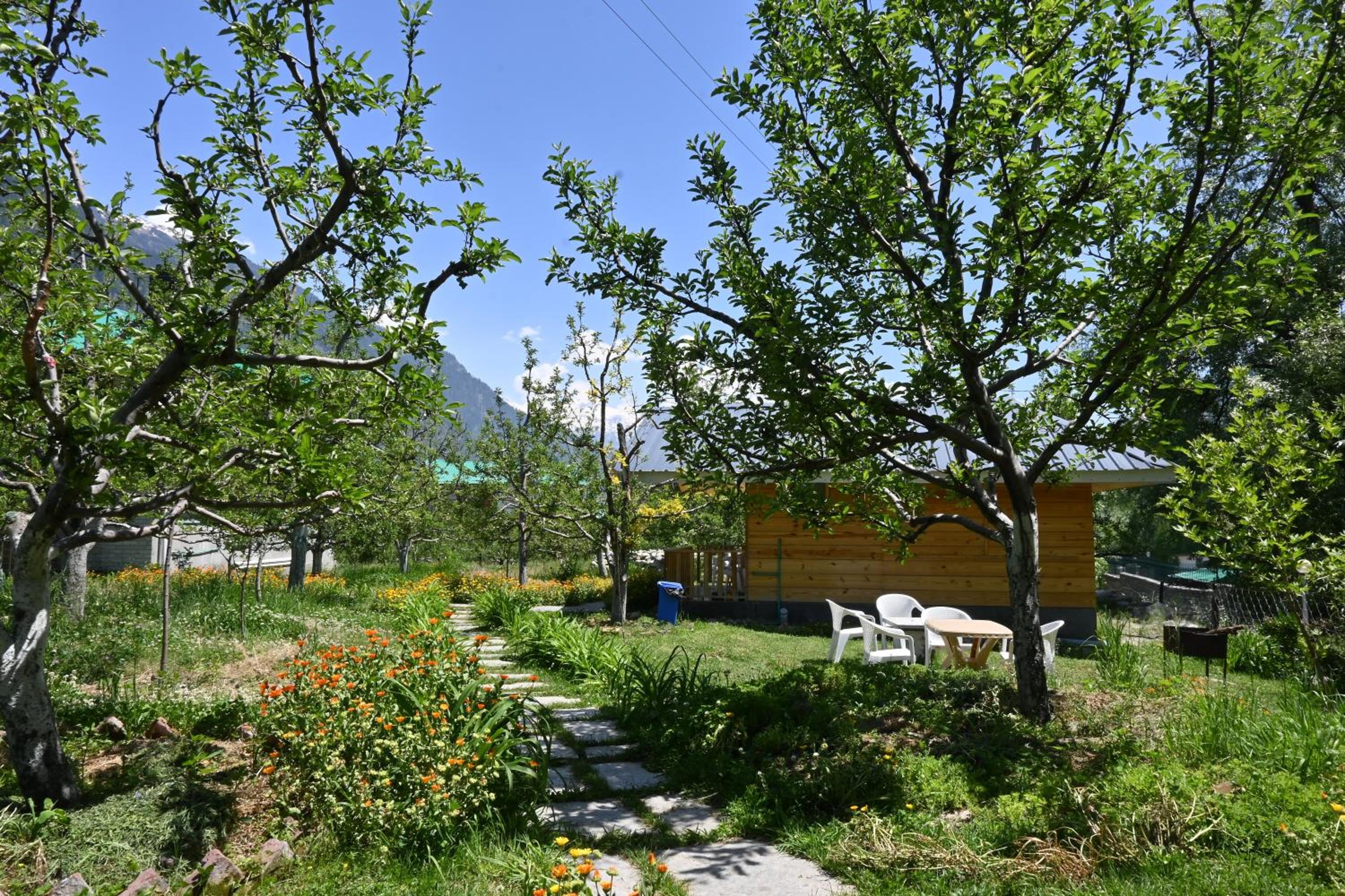 Cascade Mountain Retreat Manali