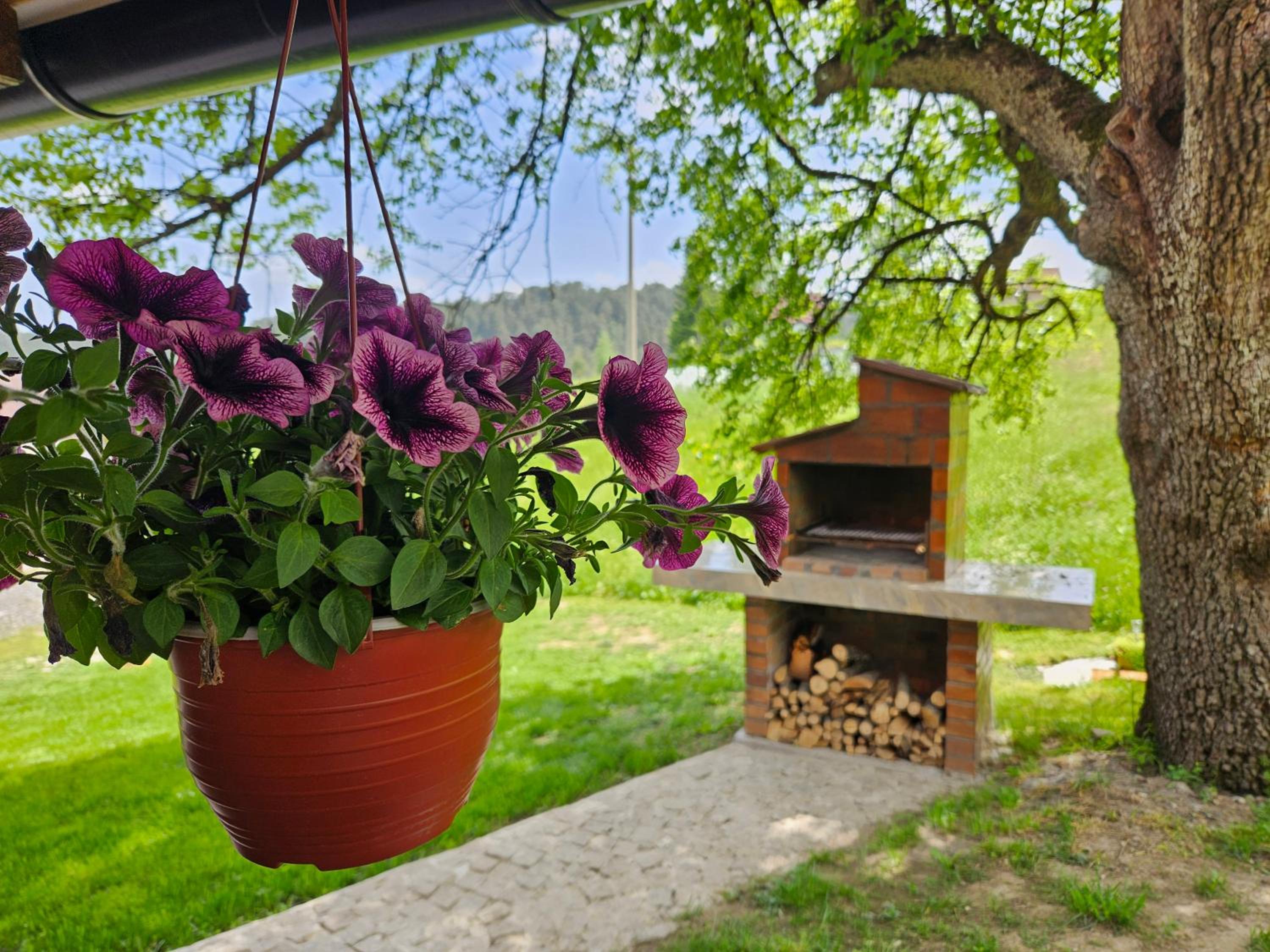 Brvnara ispod stare kruške view 3