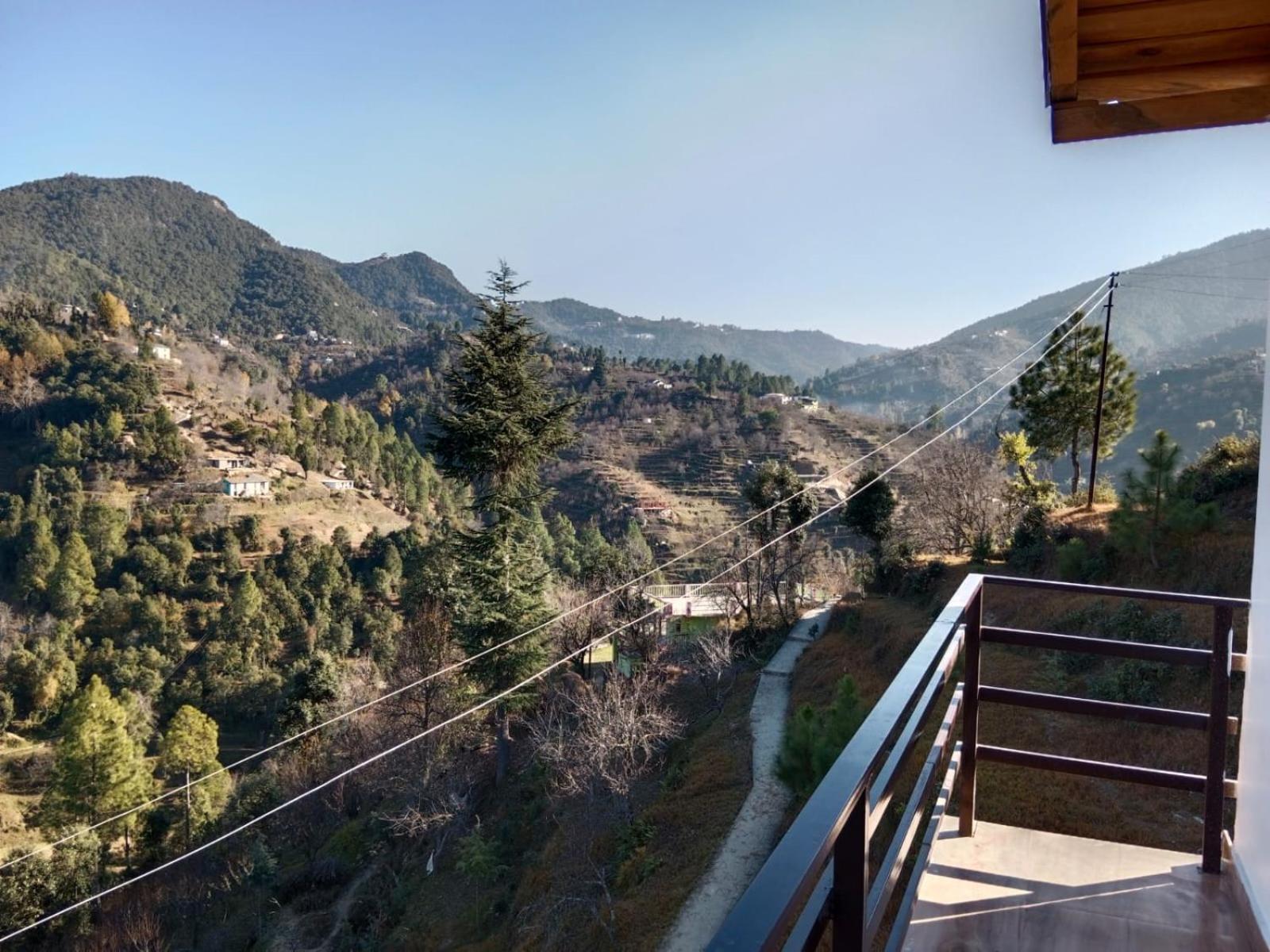Cottage Cheese view 5