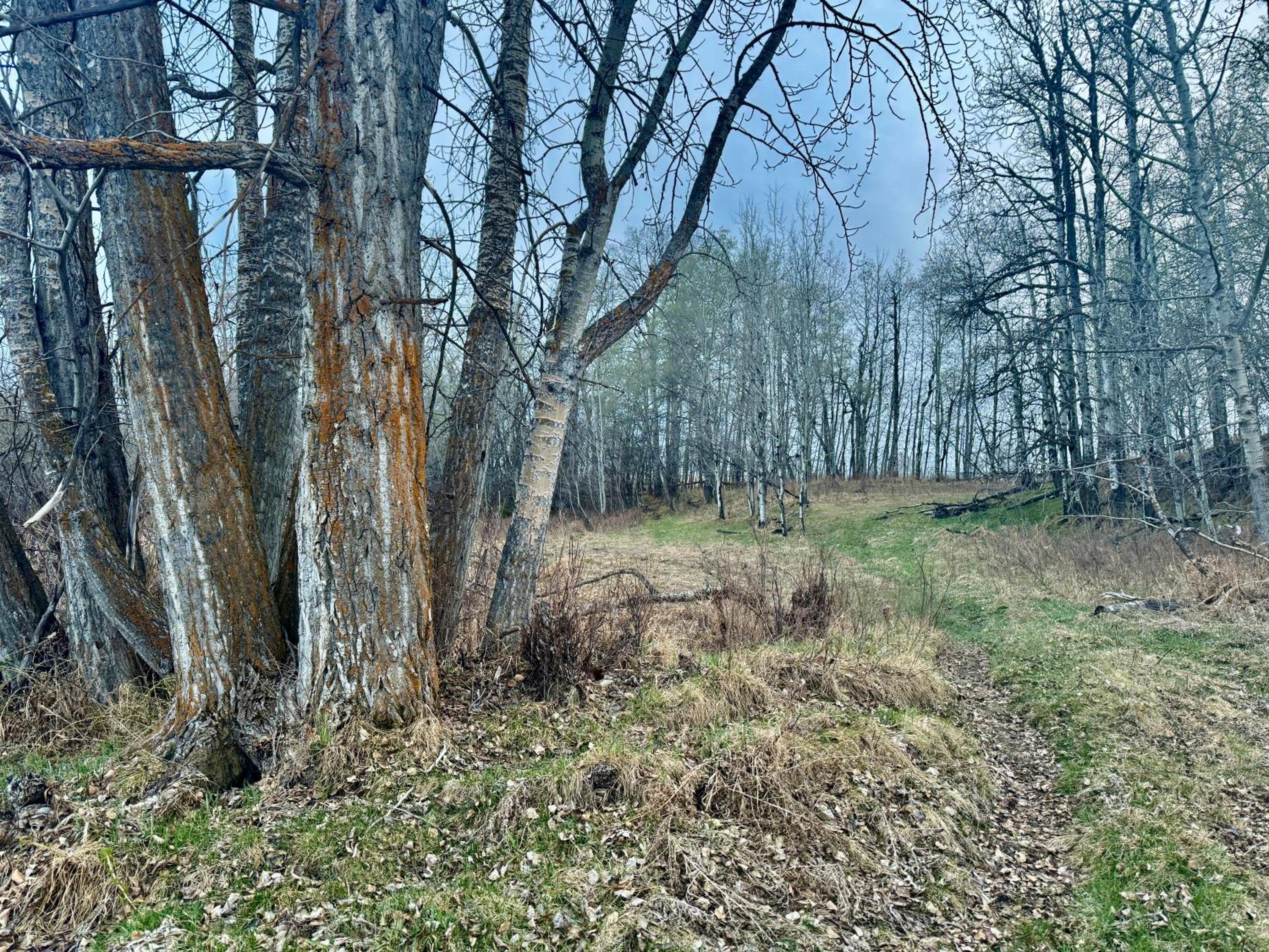 DreamLand Farms, Edmonton