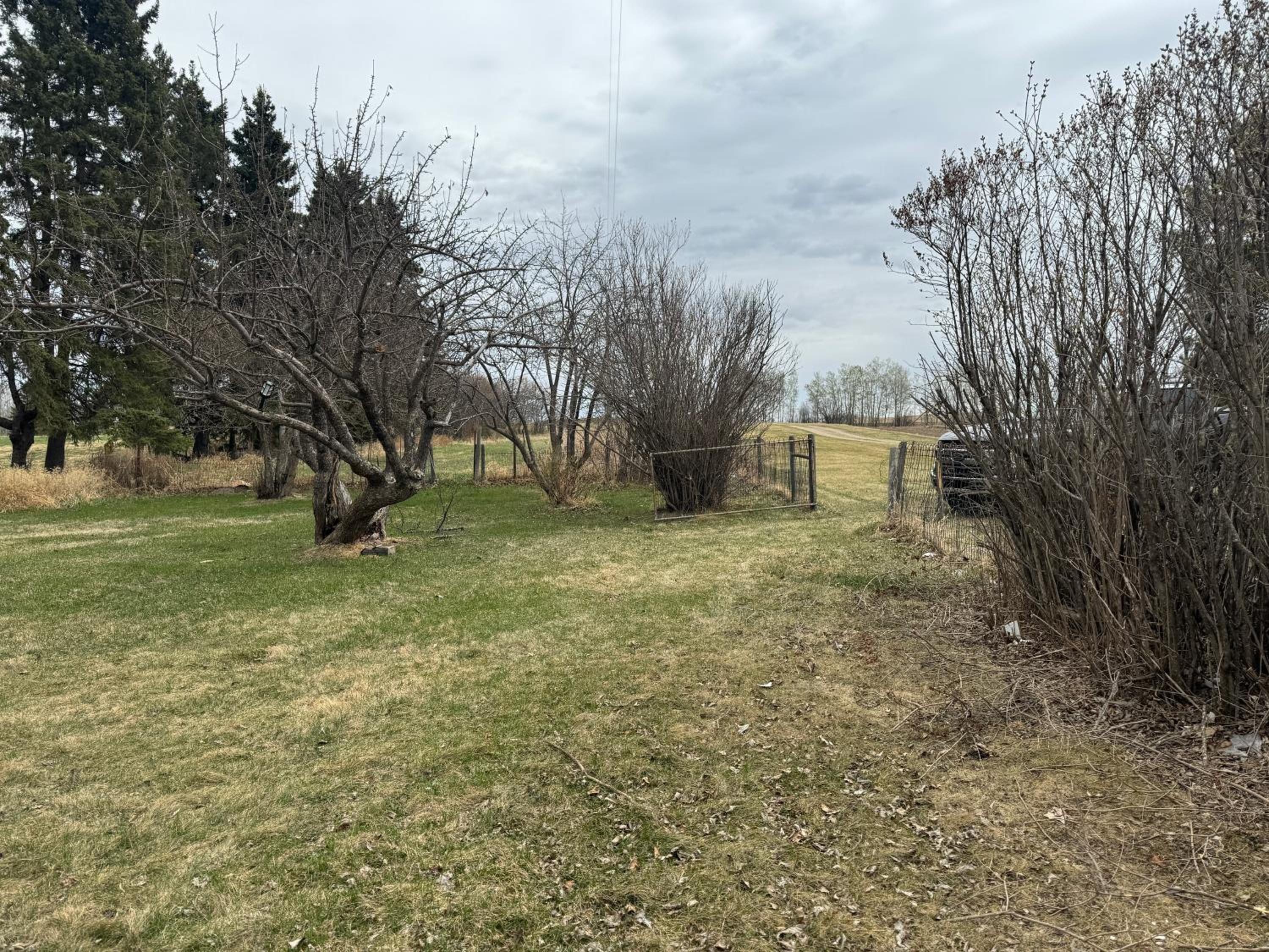 DreamLand Farms, Edmonton
