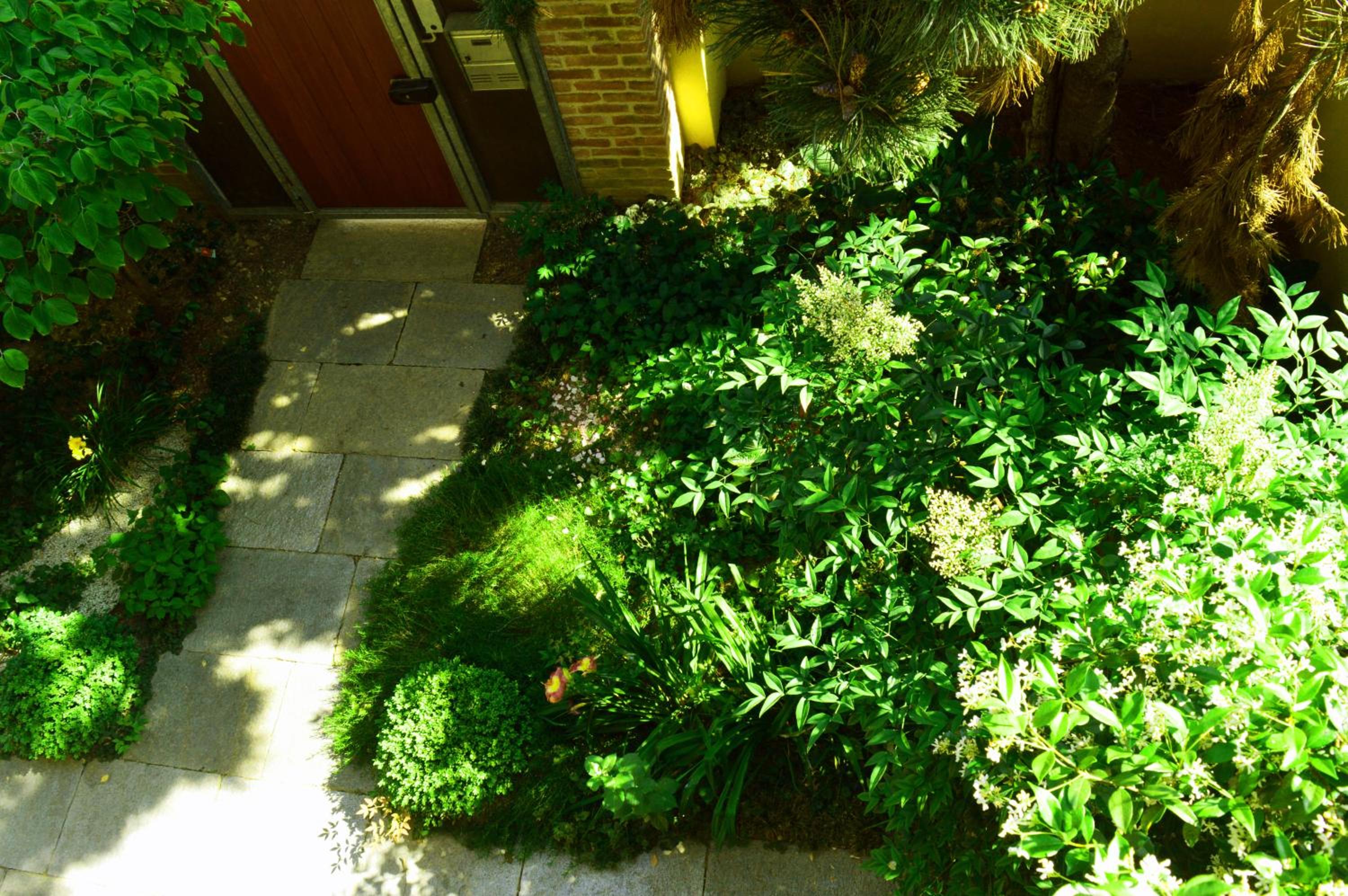 Photo 31