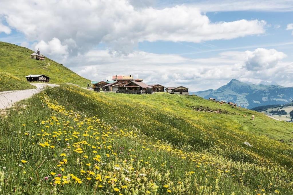 Almhütte in Kirchberg in Tirol