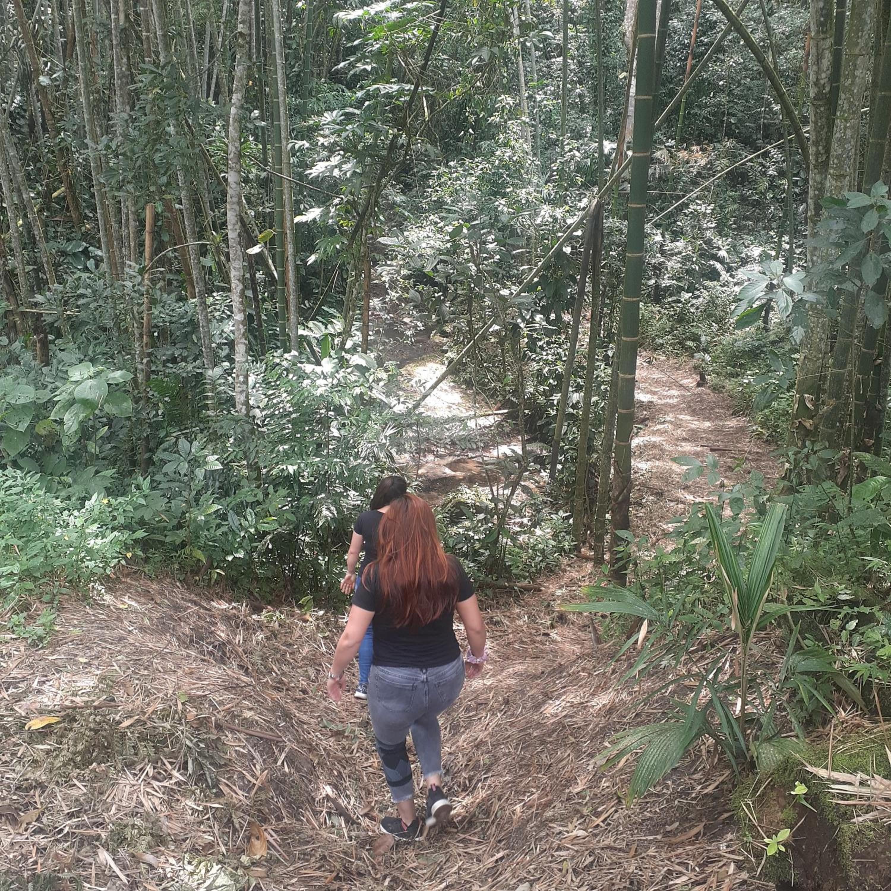 Glamping eco descanso la vega Nocaima