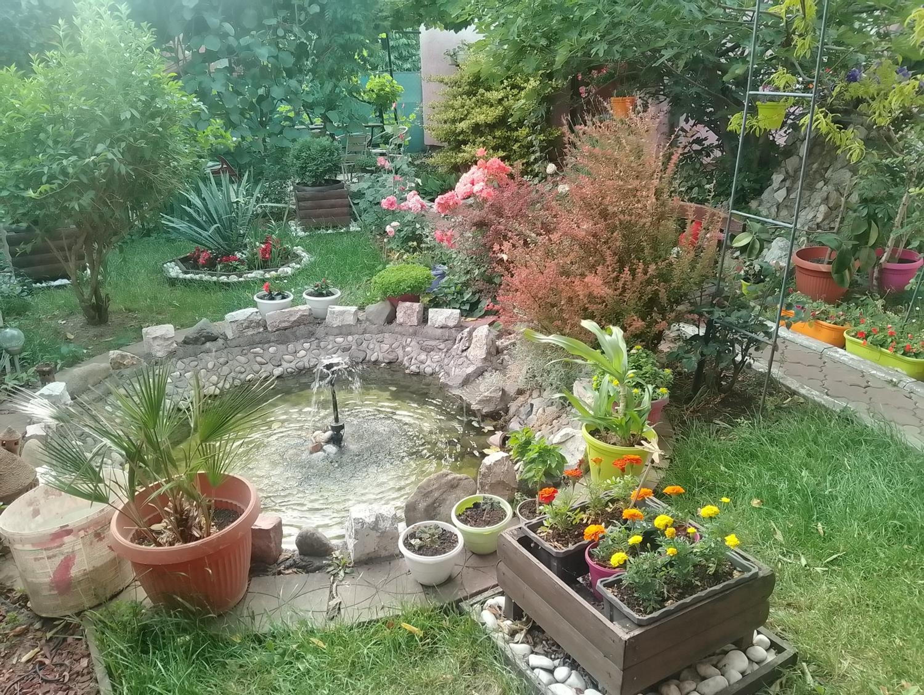 Photo 29
