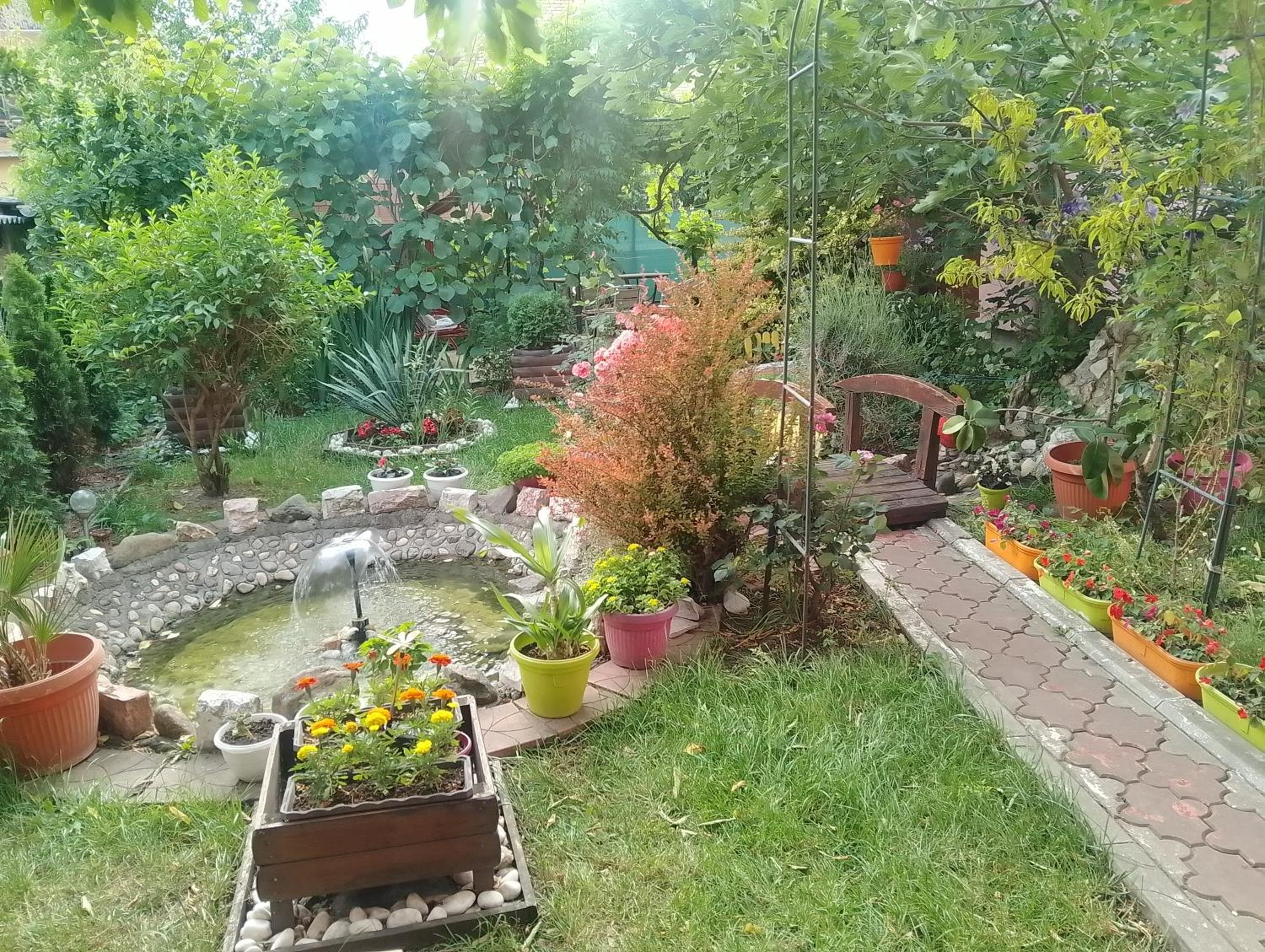Photo 30