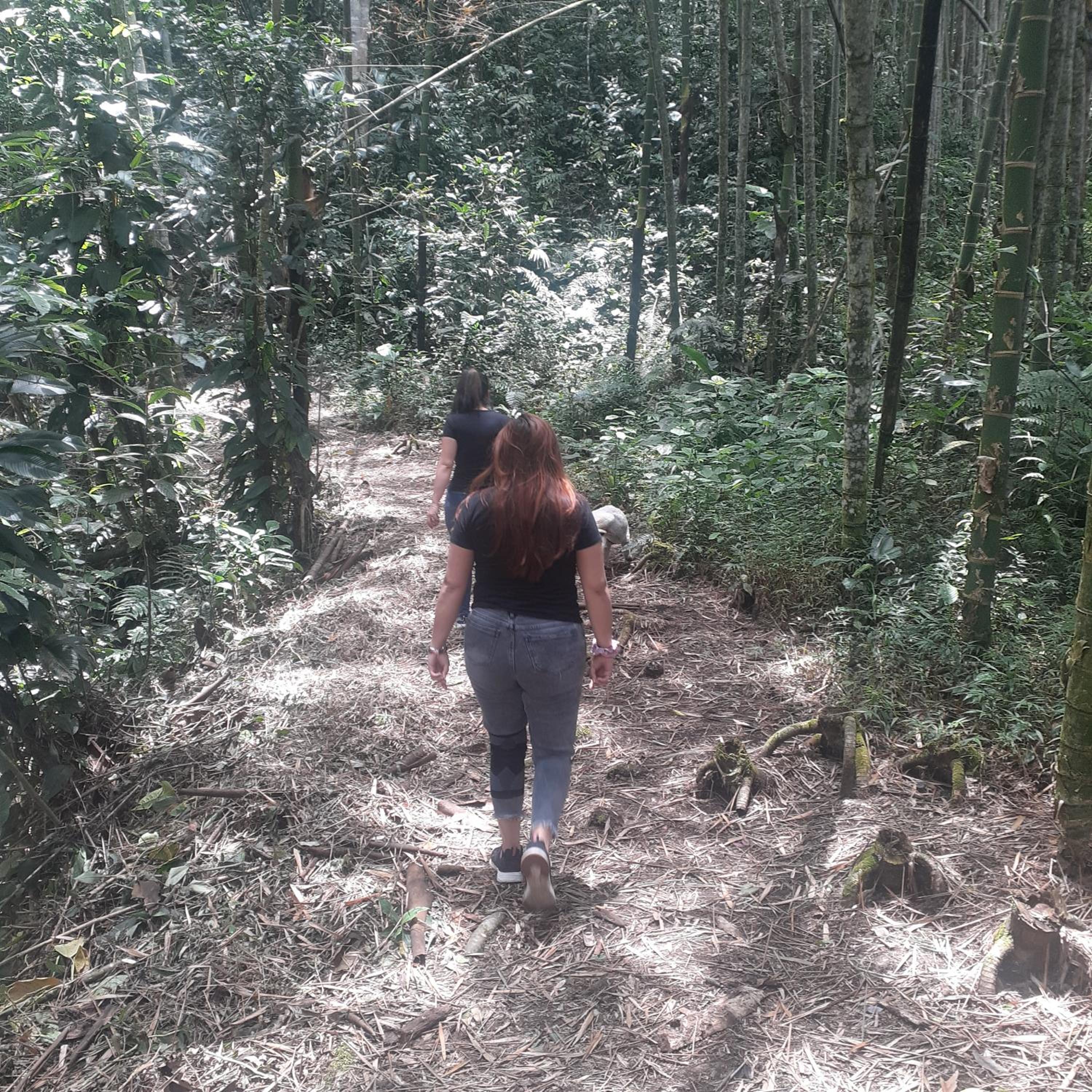 Glamping eco descanso la vega Nocaima