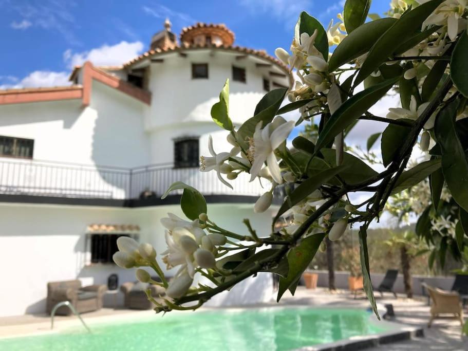 Villa Torre, Valencia Spanje