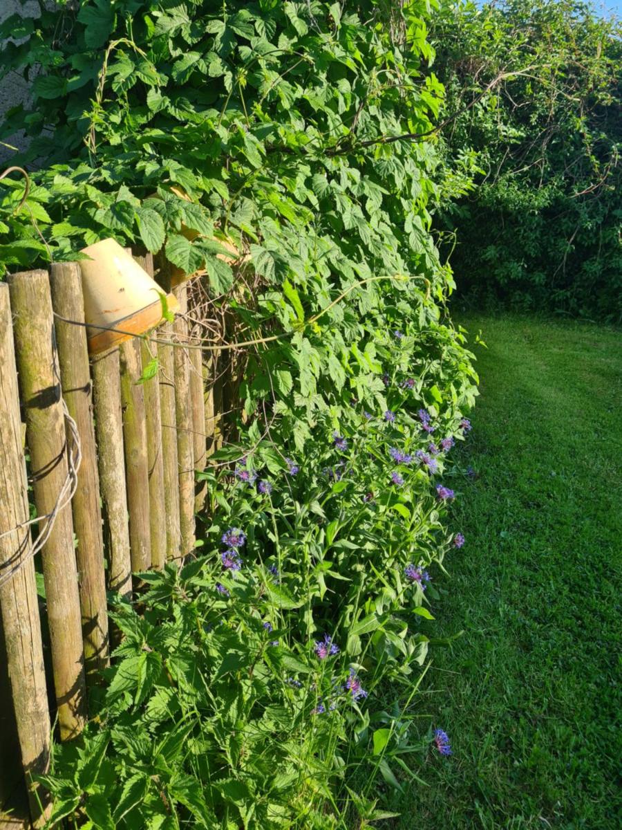 Photo 26