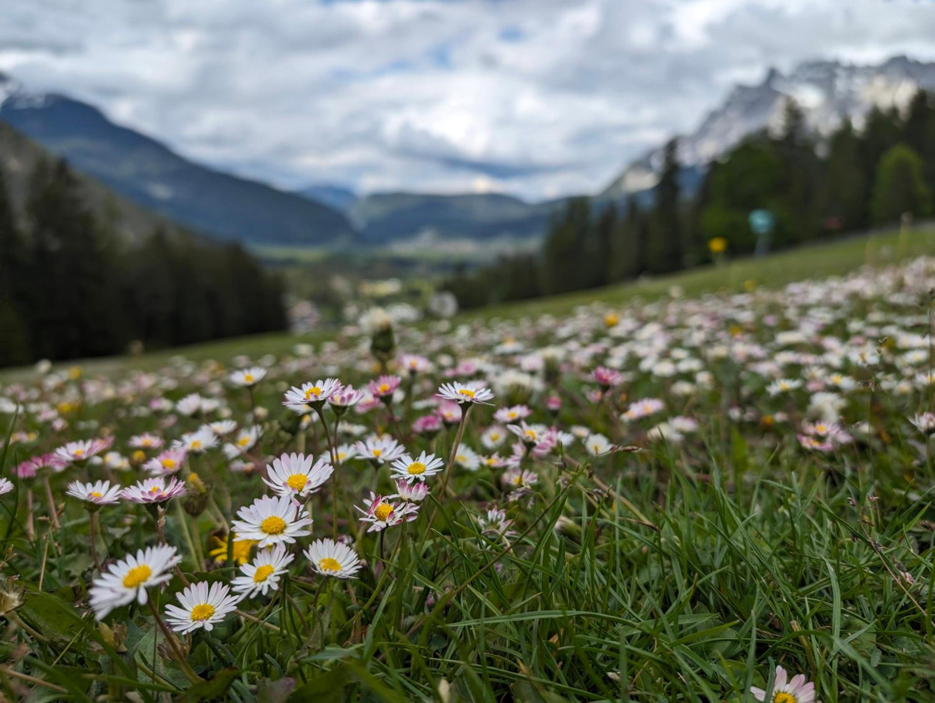 Alpinum Hostel Biberwier - Günstige Privatzimmer in der Zugspitz Arena