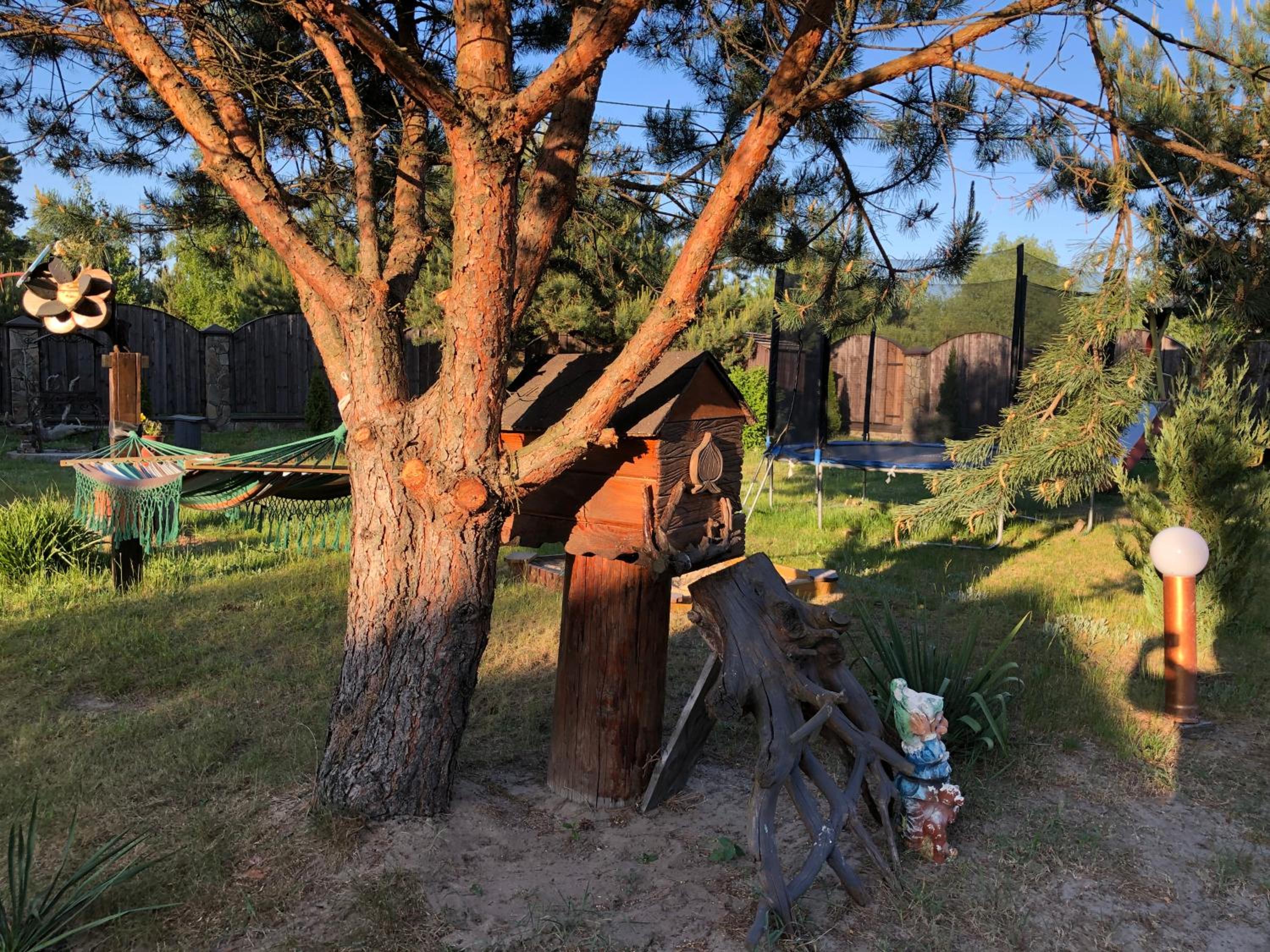 Photo 19