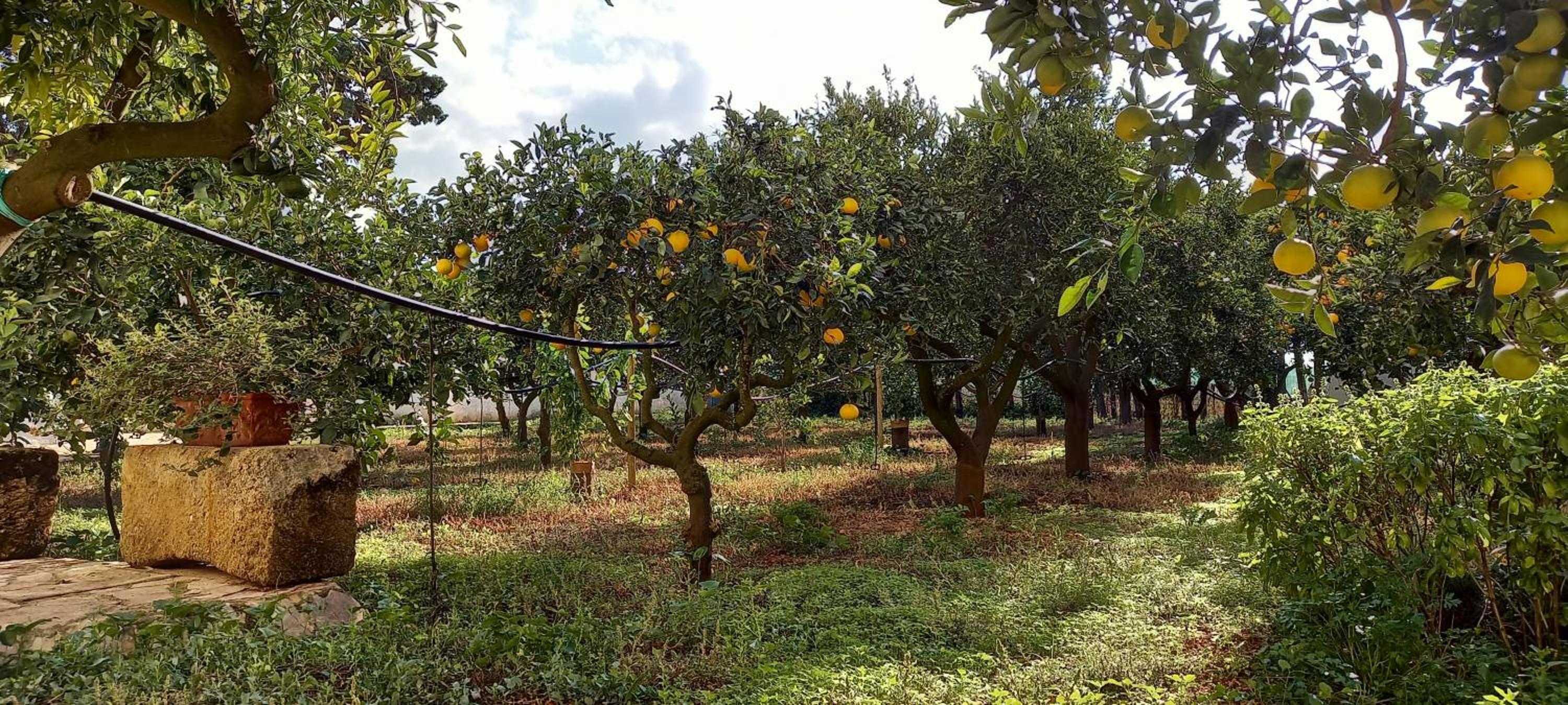 Baglio Spanò - Antiche Dimore di Sicilia