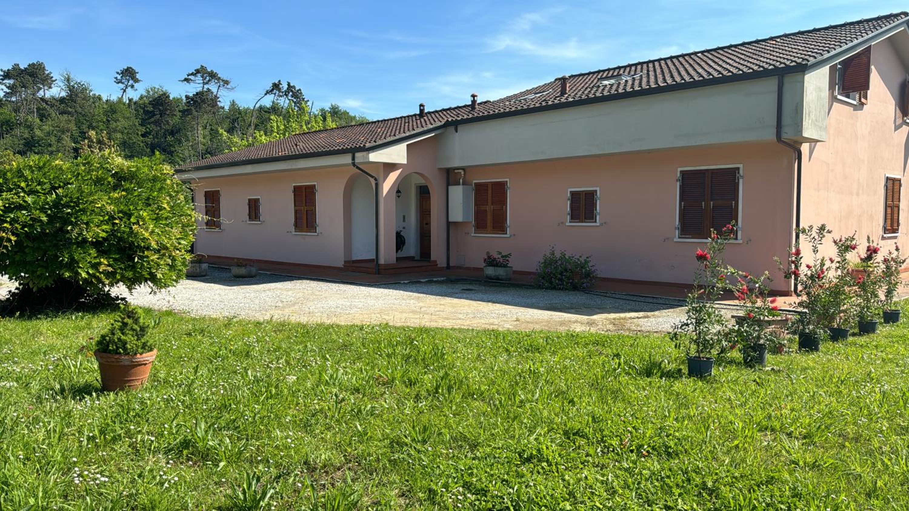 Photo 46