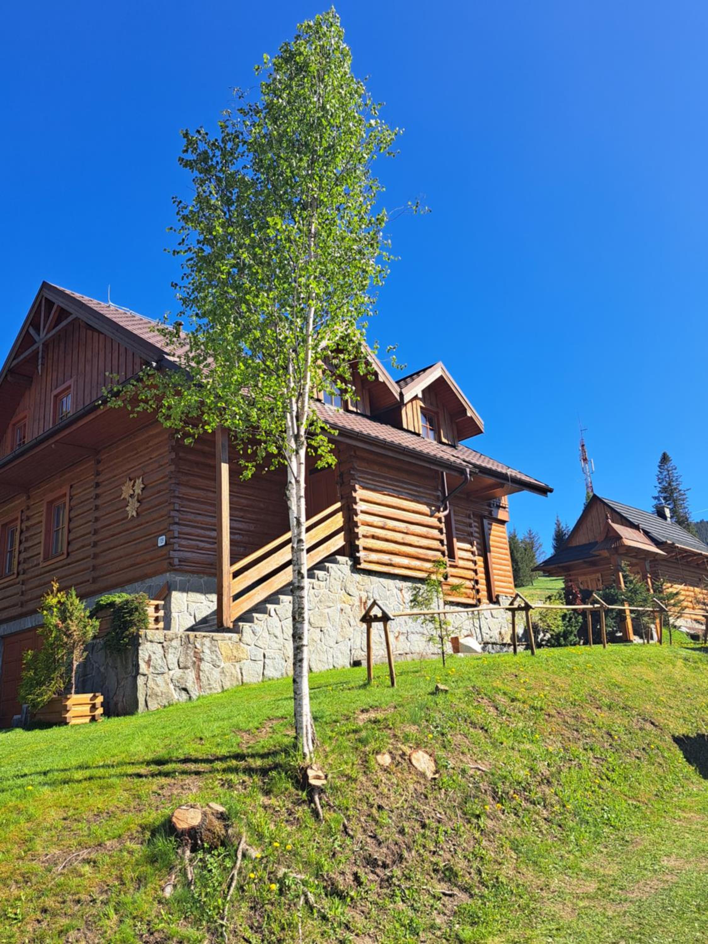 Chalet Plesnivec