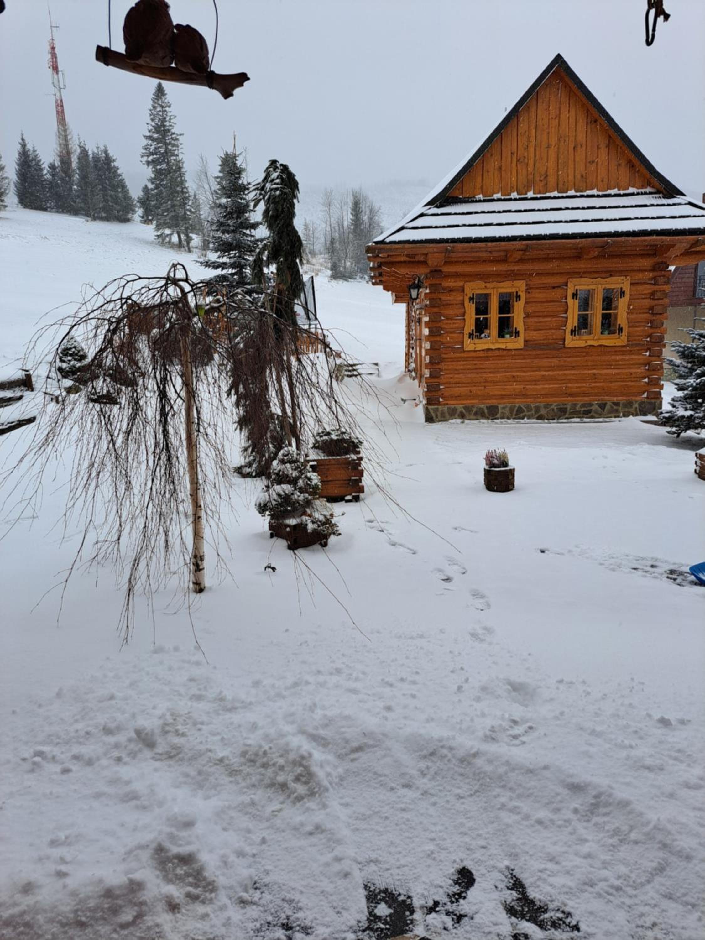 Chalet Plesnivec
