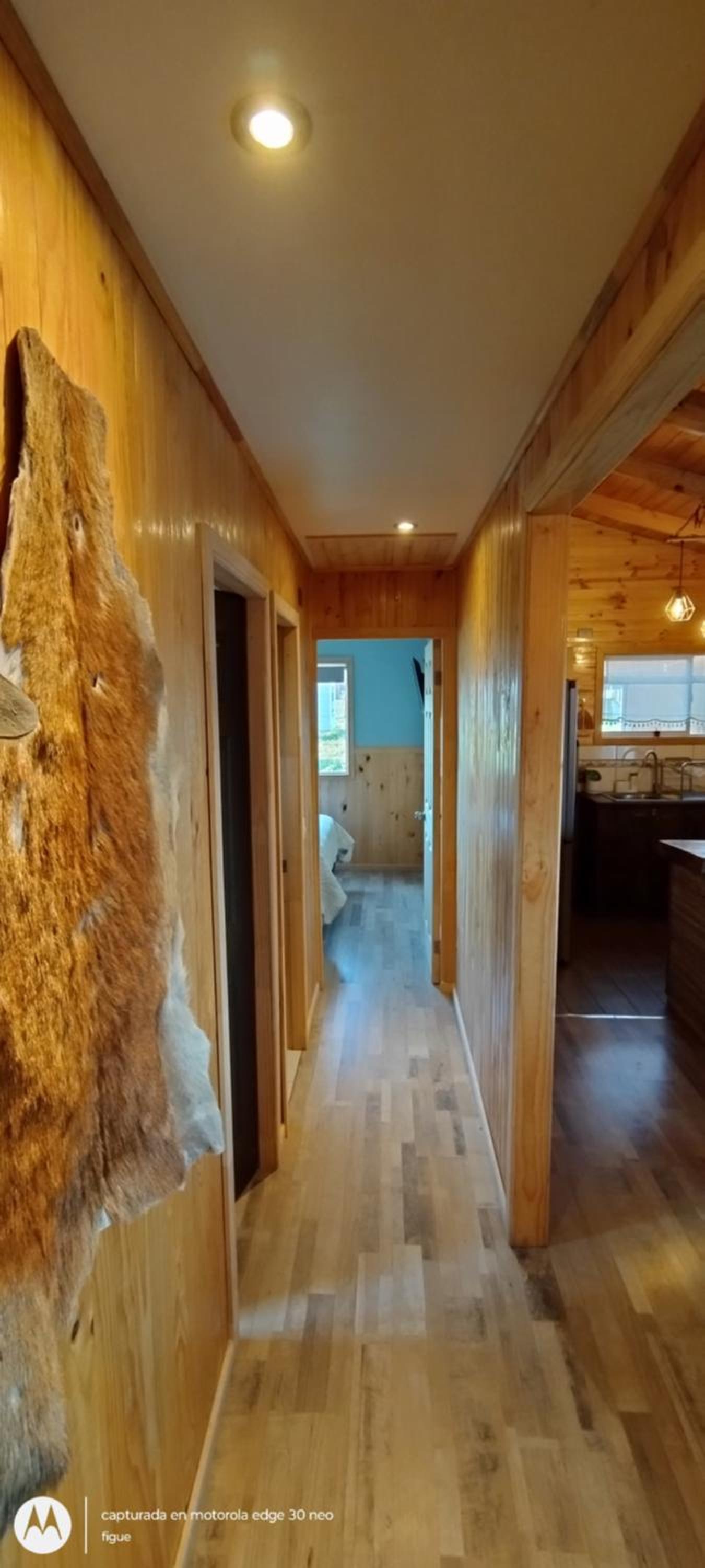 Cabaña Puyehue