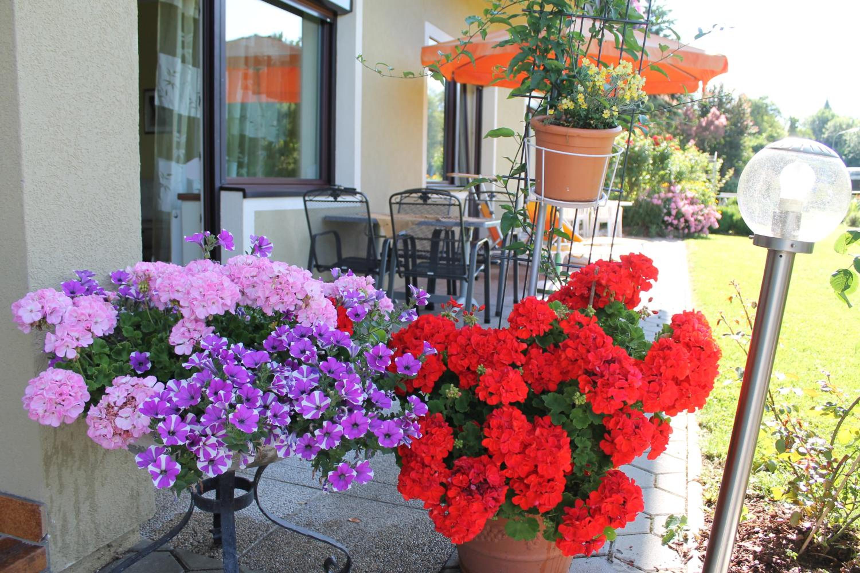 Appartement - Ferienwohnungen - Gästehaus Gabriele