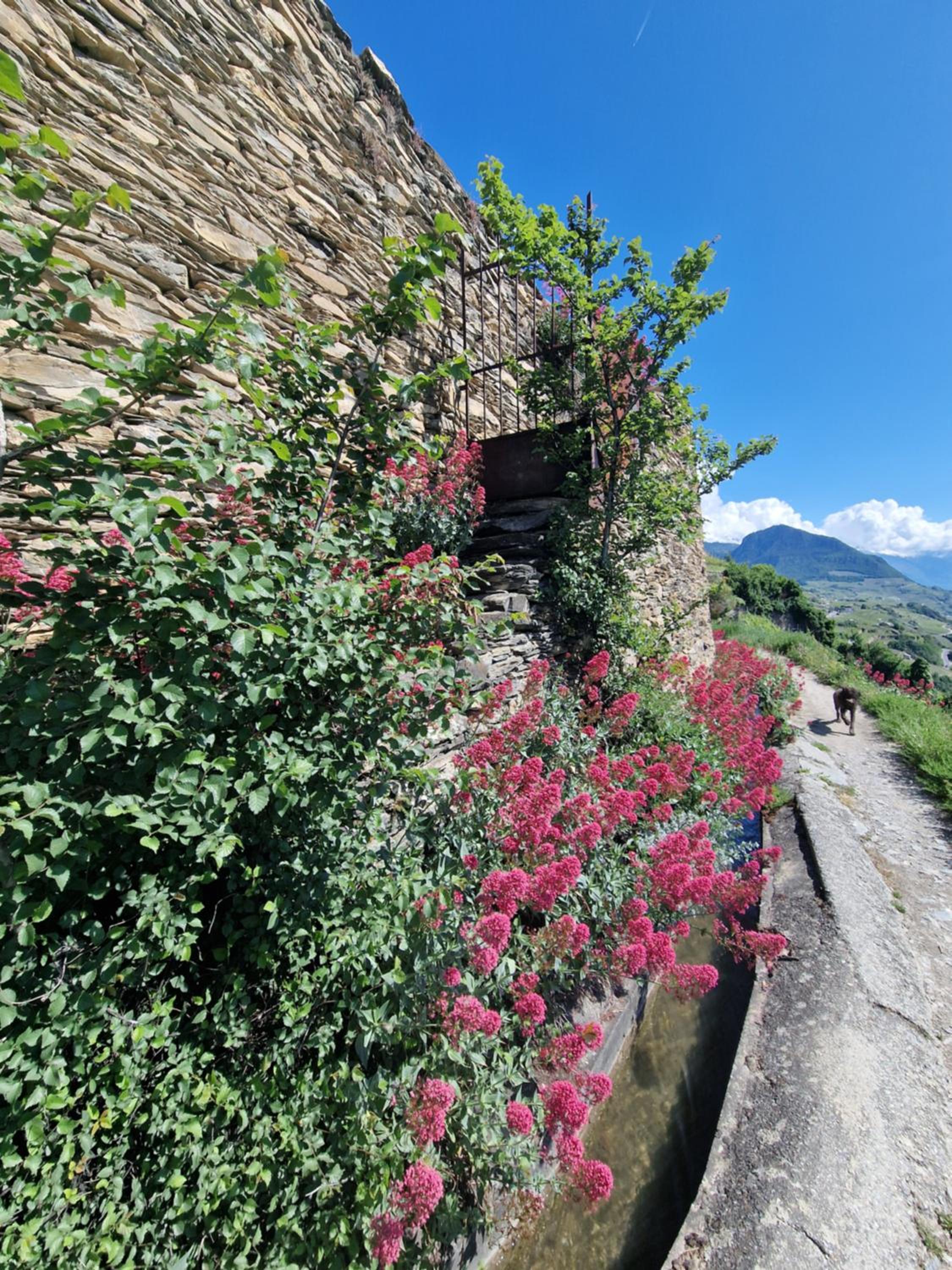 Studio Le Carnotzet Tchiko minimum 2 nights Special weekly and monthly prices