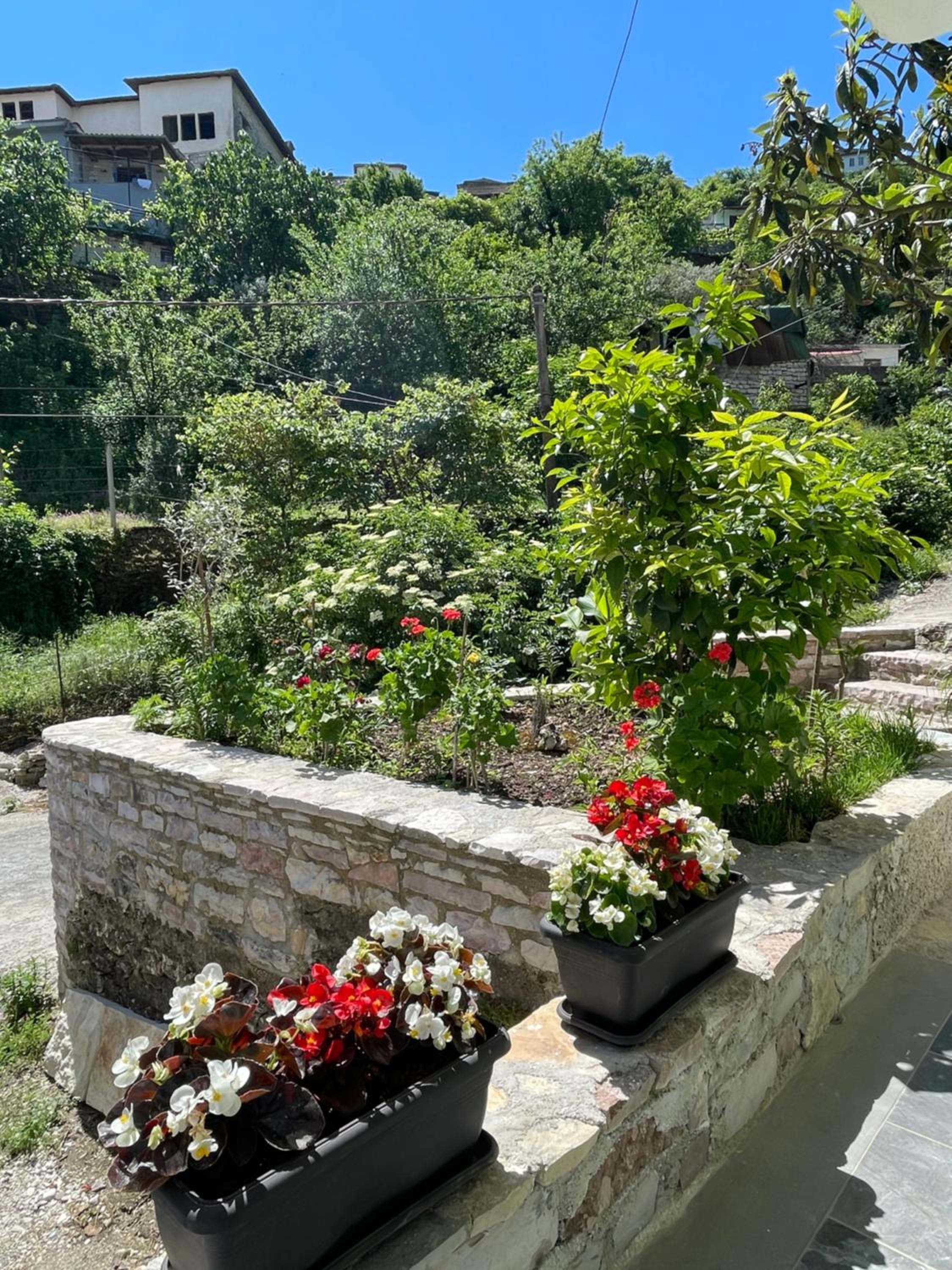 Latifi Guesthouse