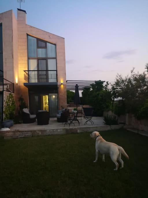 Villa Perfect for Families - Sea, pool and relax view 2