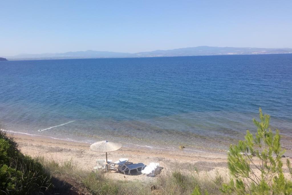 Villa Perfect for Families - Sea, pool and relax view 3