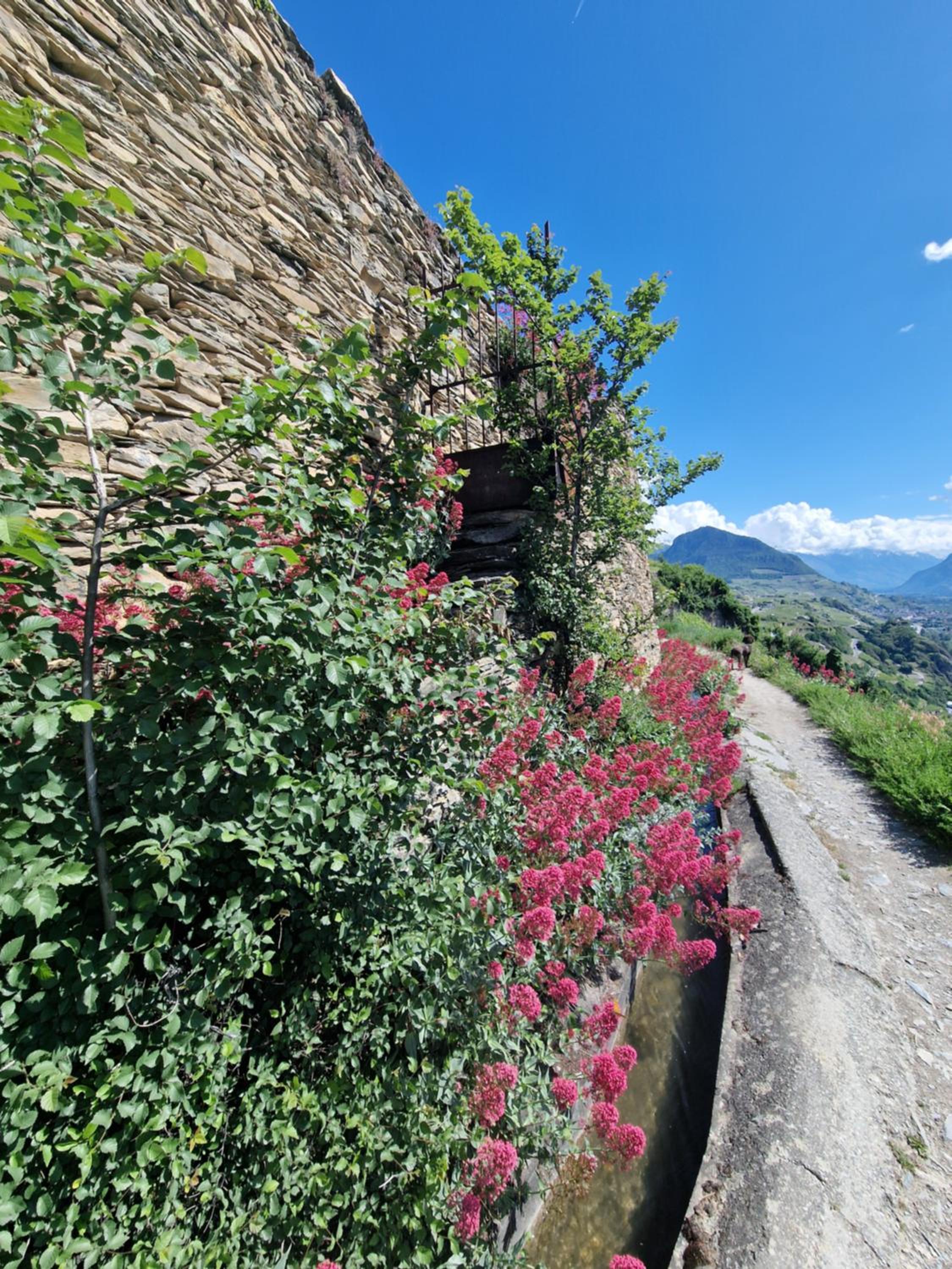 Bella Flocon appartements min 2 Nights Special weekly and monthly prices