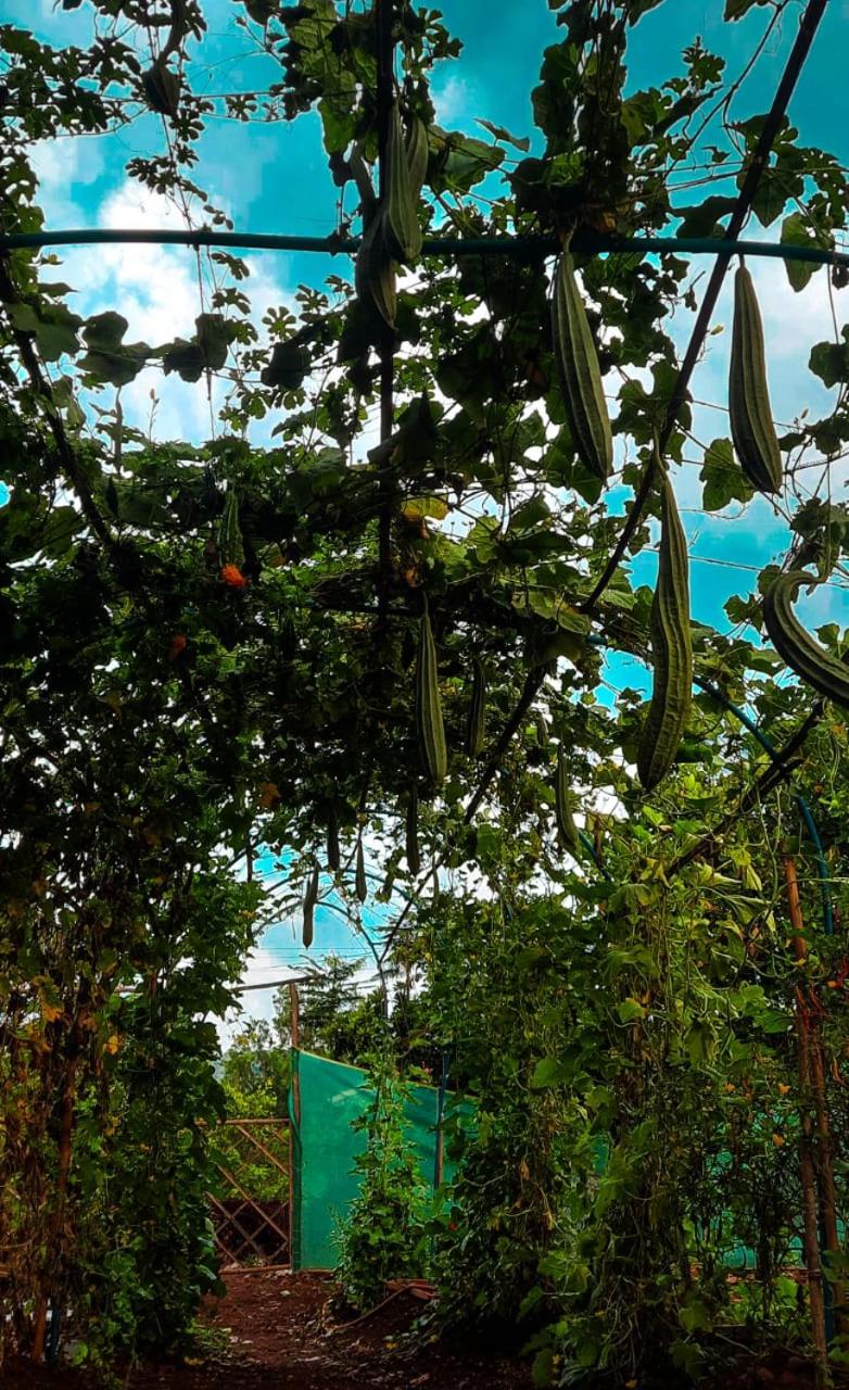 Chalobahills Farmstay Resort