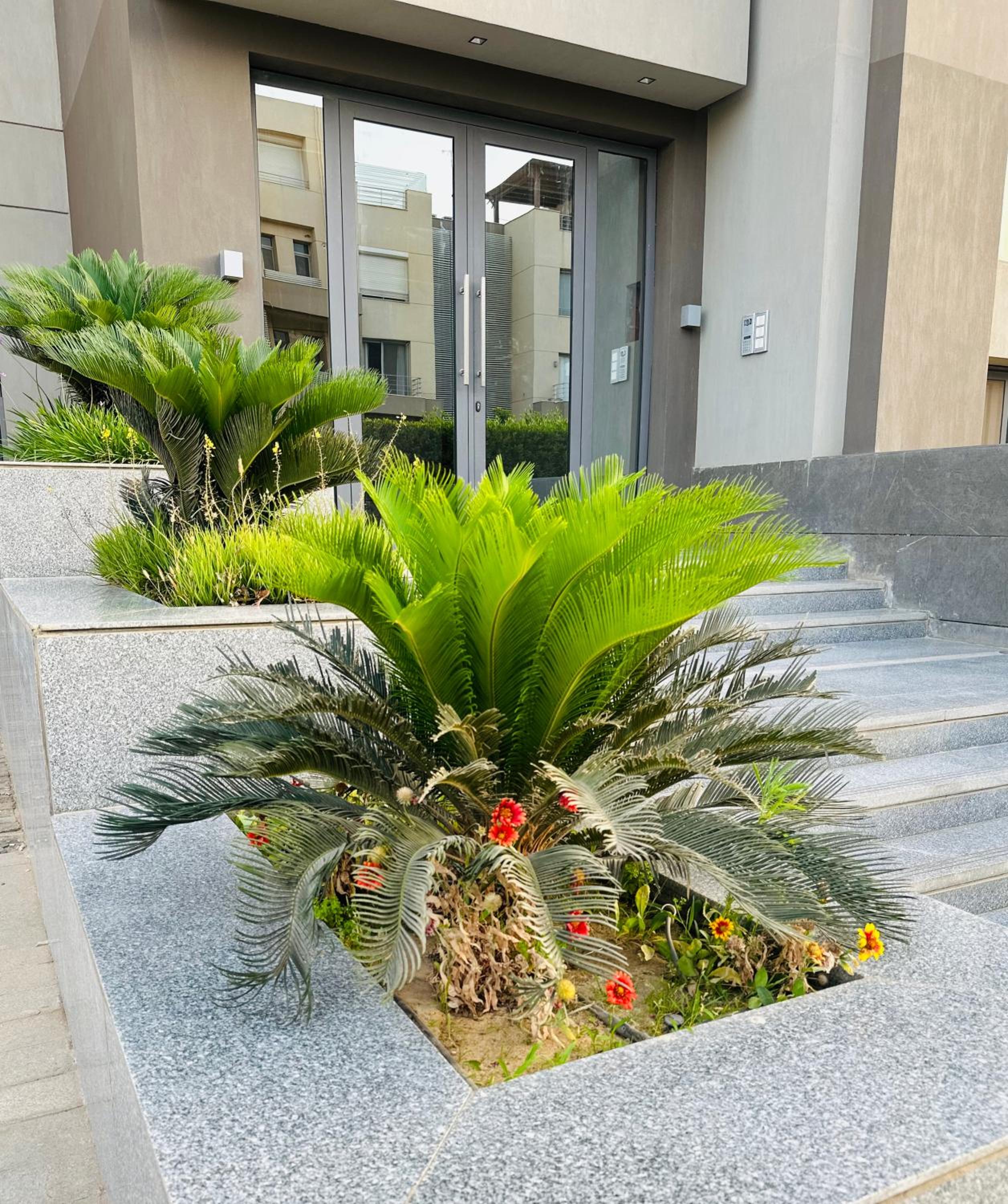 OMI Resdance silver palm