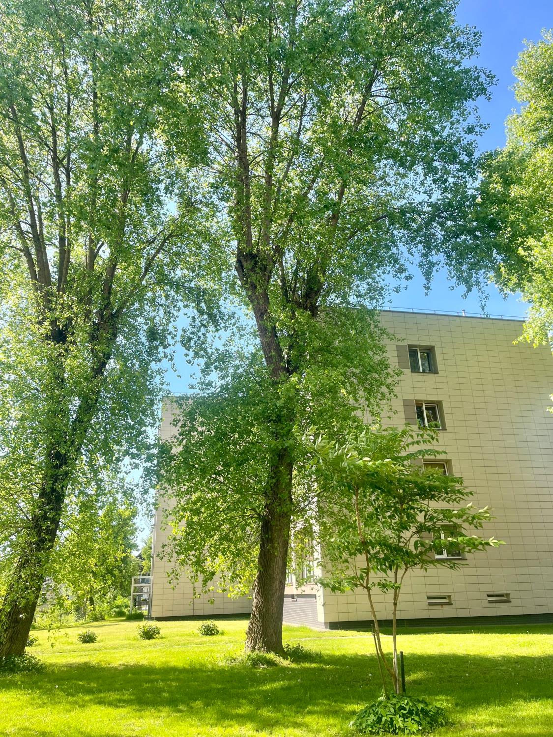 Maja apartamentai