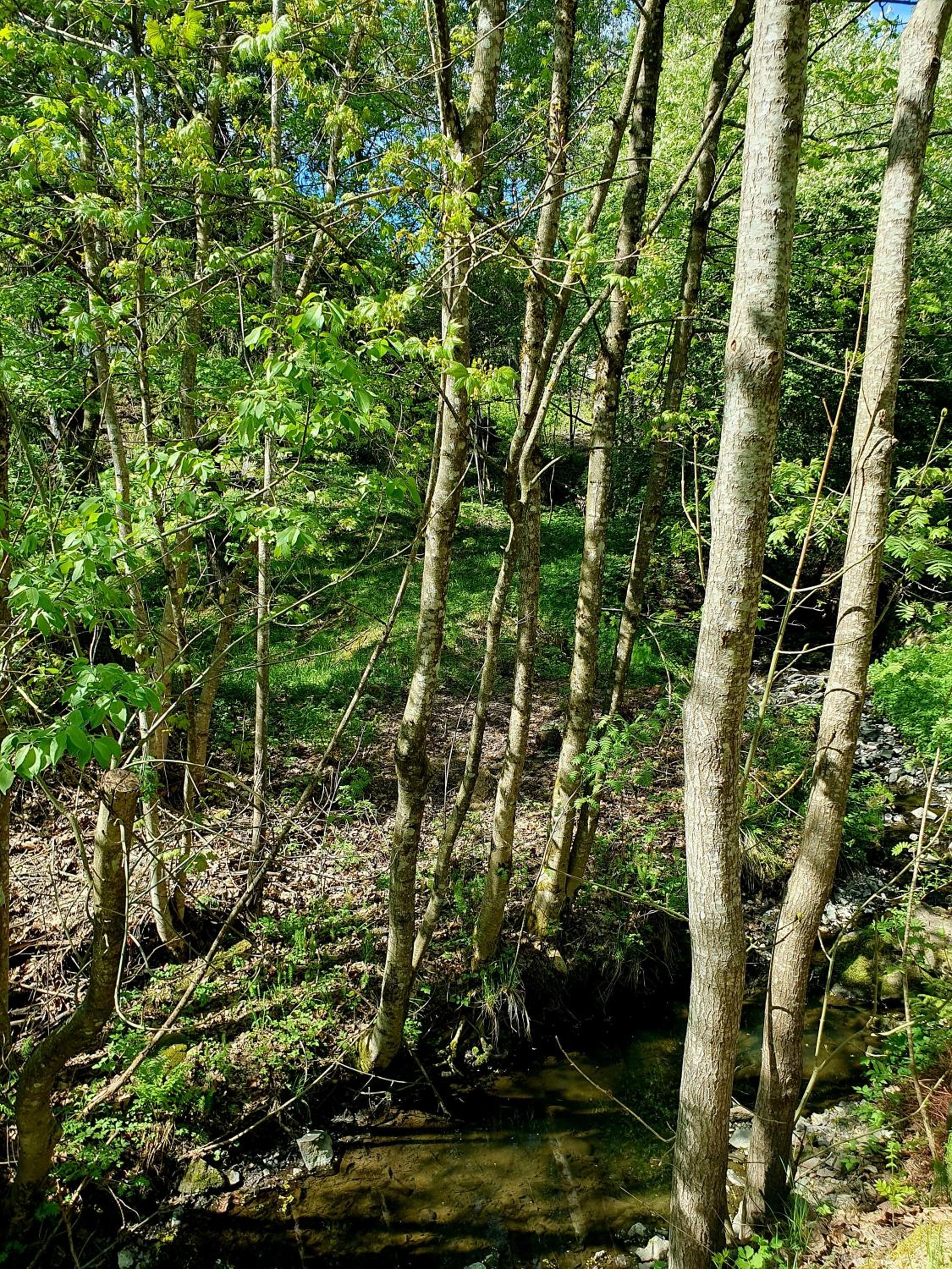 Photo 41